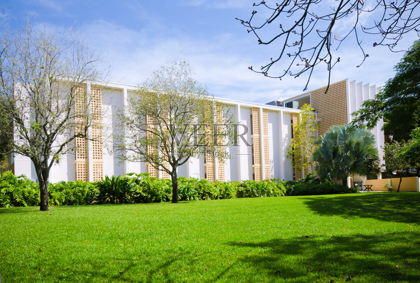 迈阿密大学校园的教育大楼照片摄影图片