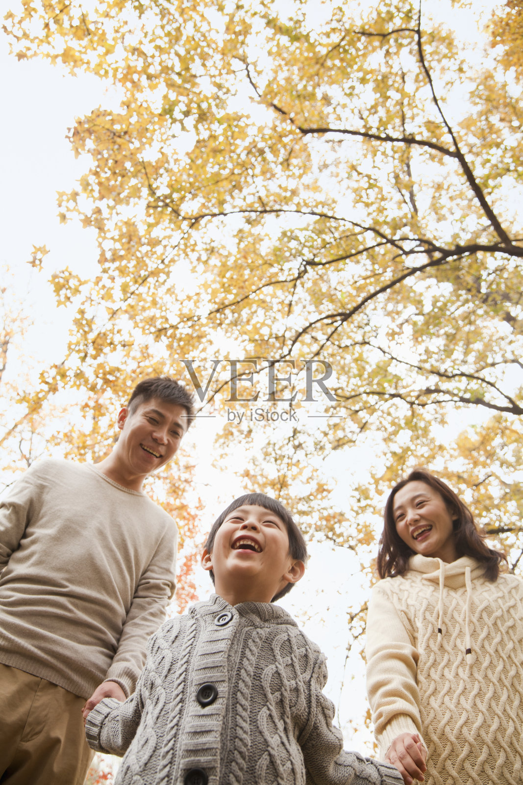 秋天，一家人手牵着手在公园里散步照片摄影图片