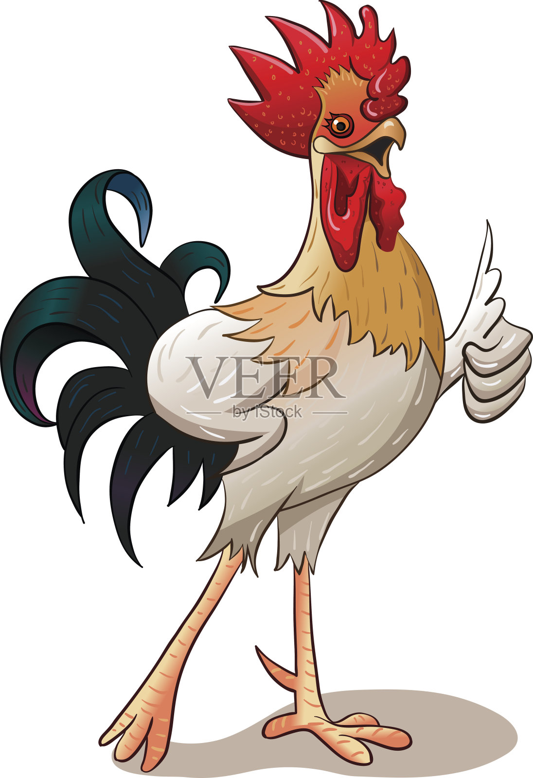 快乐的公鸡在白色的背景下竖起大拇指。设计元素图片