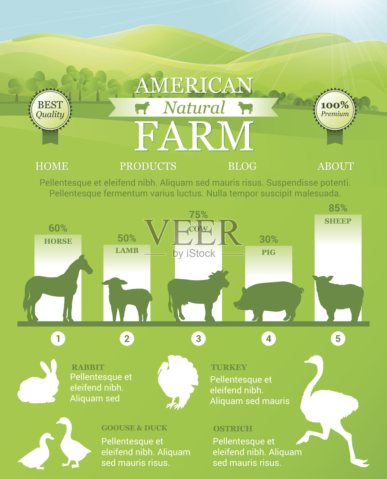 美国农场信息图与明亮的景观，农场动物的剪影。矢量模板着陆设计，网页插画图片素材