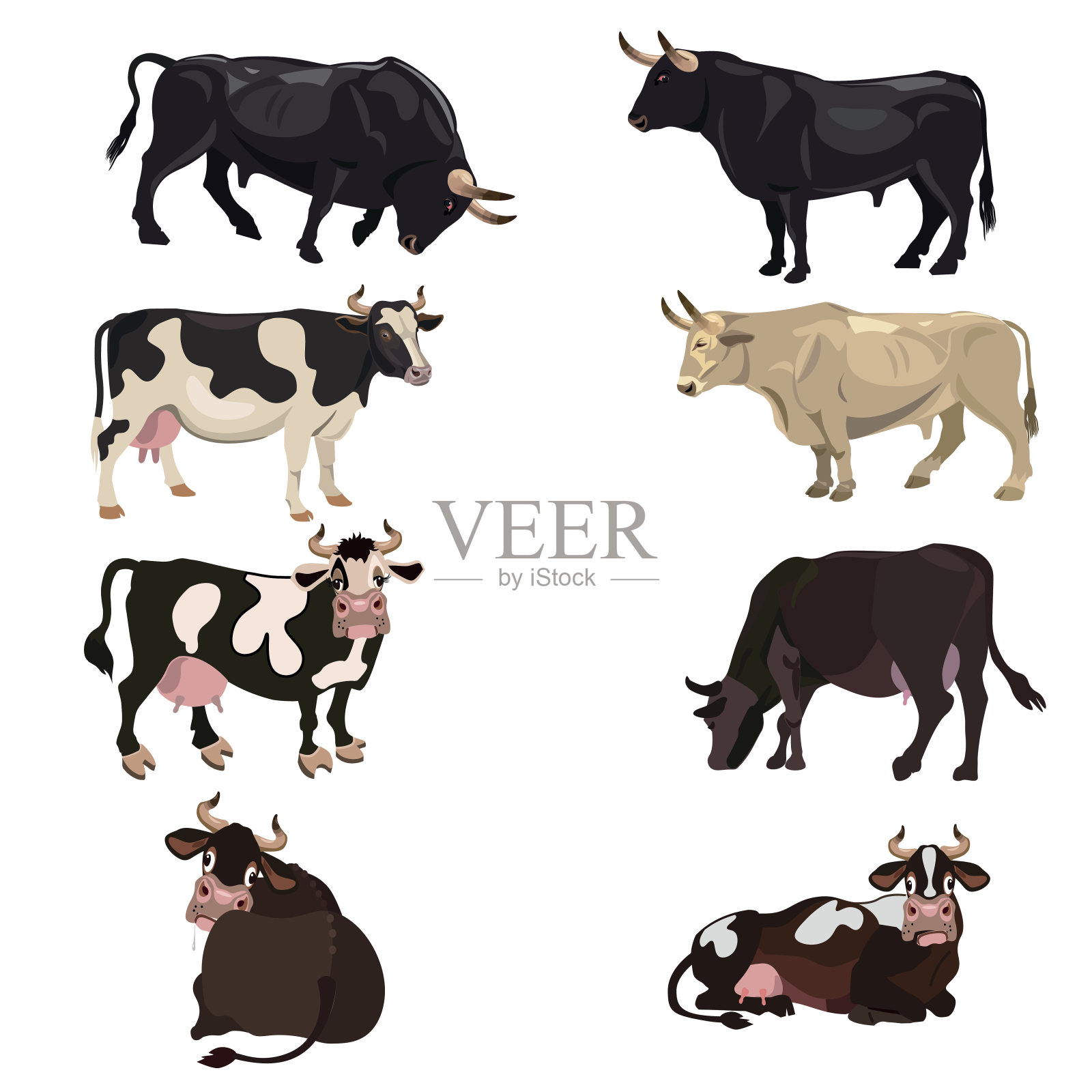 牛:奶牛和公牛设计元素图片