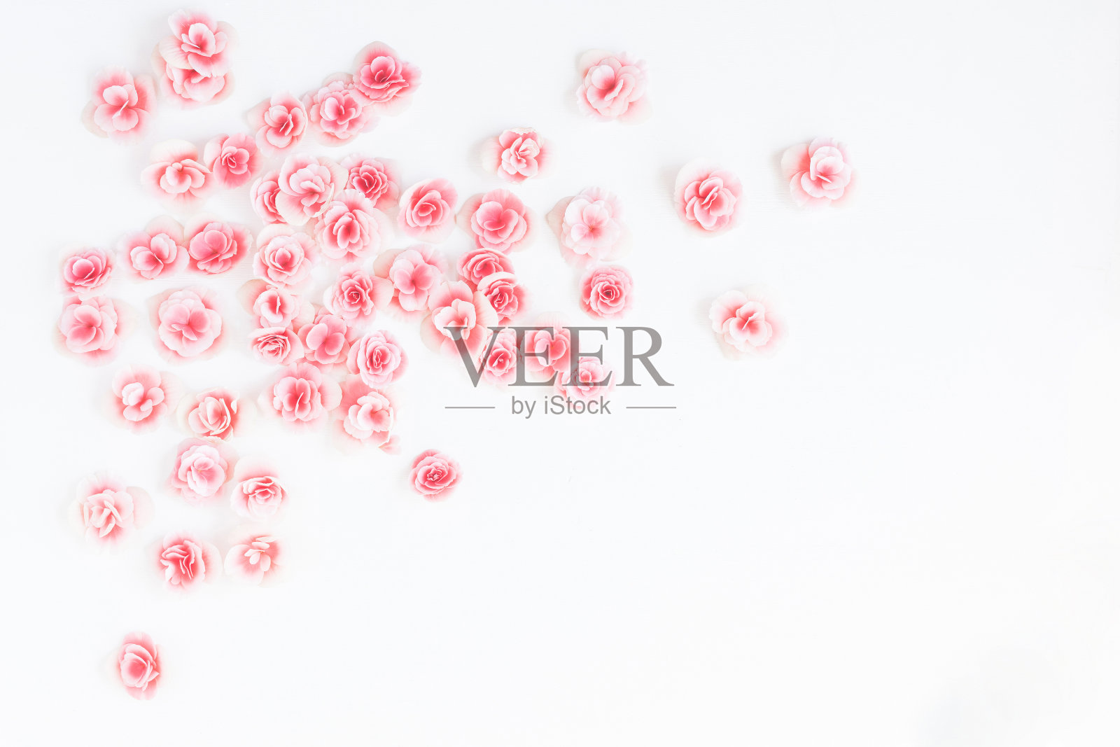 框架由粉红色的玫瑰花。平躺，俯视图照片摄影图片