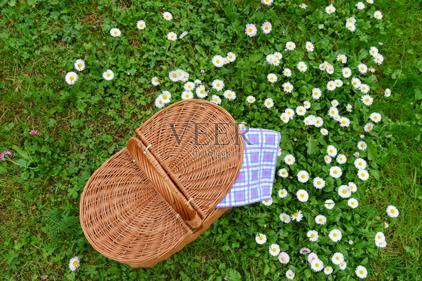 野餐篮和草地上的蓝白色格子餐巾照片摄影图片