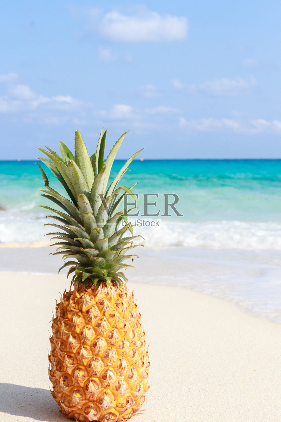 以菠萝为背景的安达曼海，太平洋。泰国Similan群岛照片摄影图片