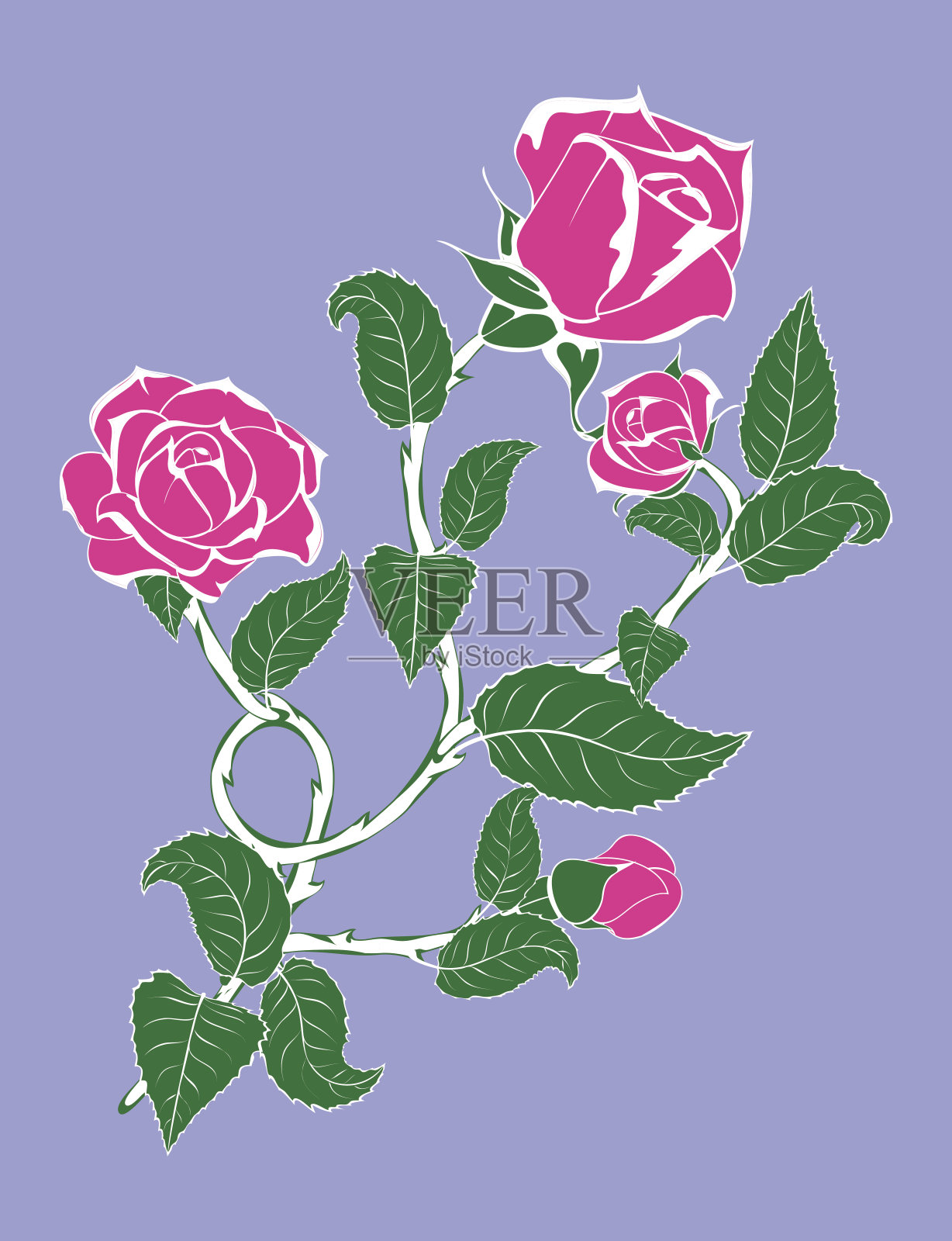 有花蕾的玫瑰花枝插画图片素材