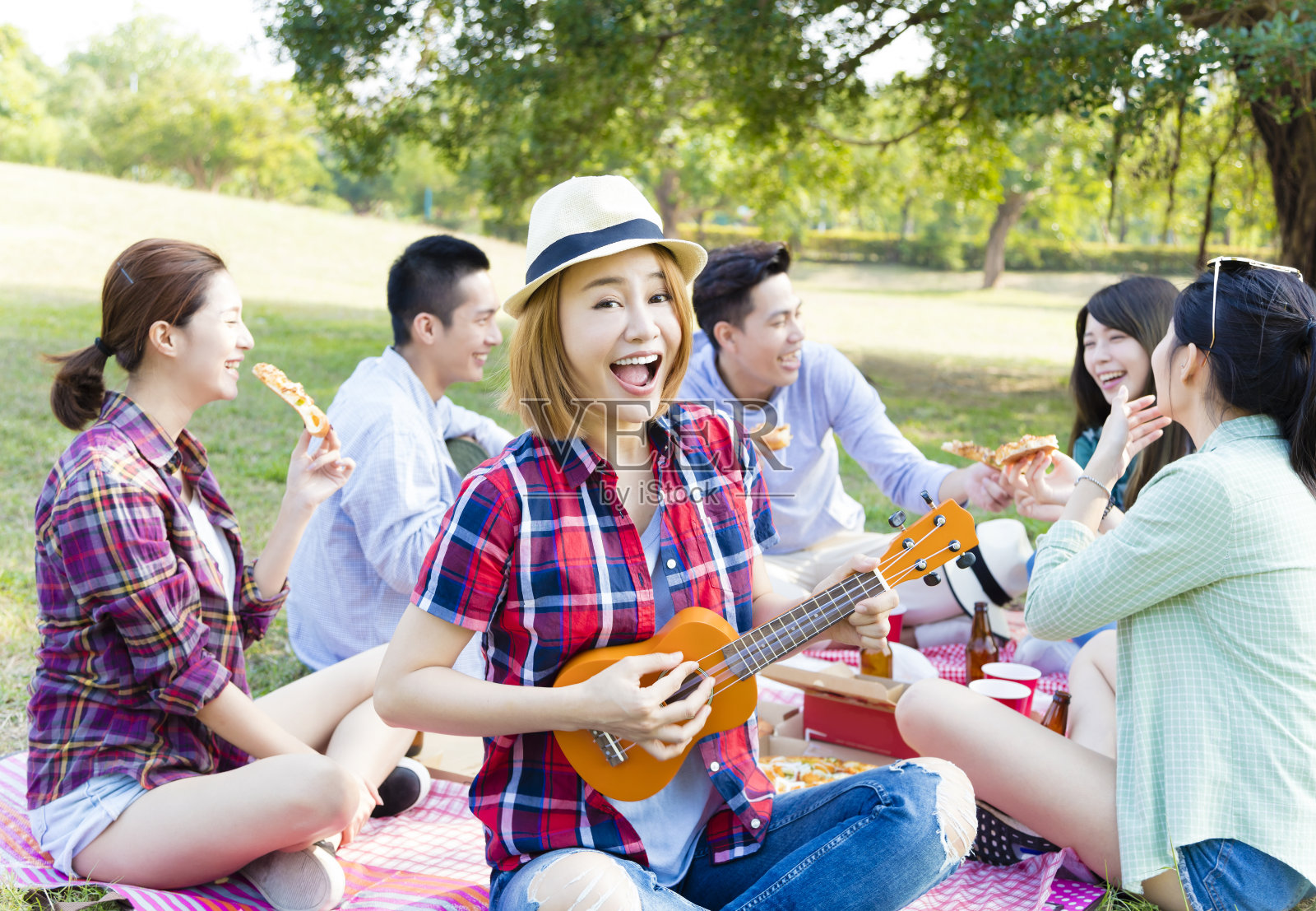 快乐的年轻群享受野餐派对照片摄影图片