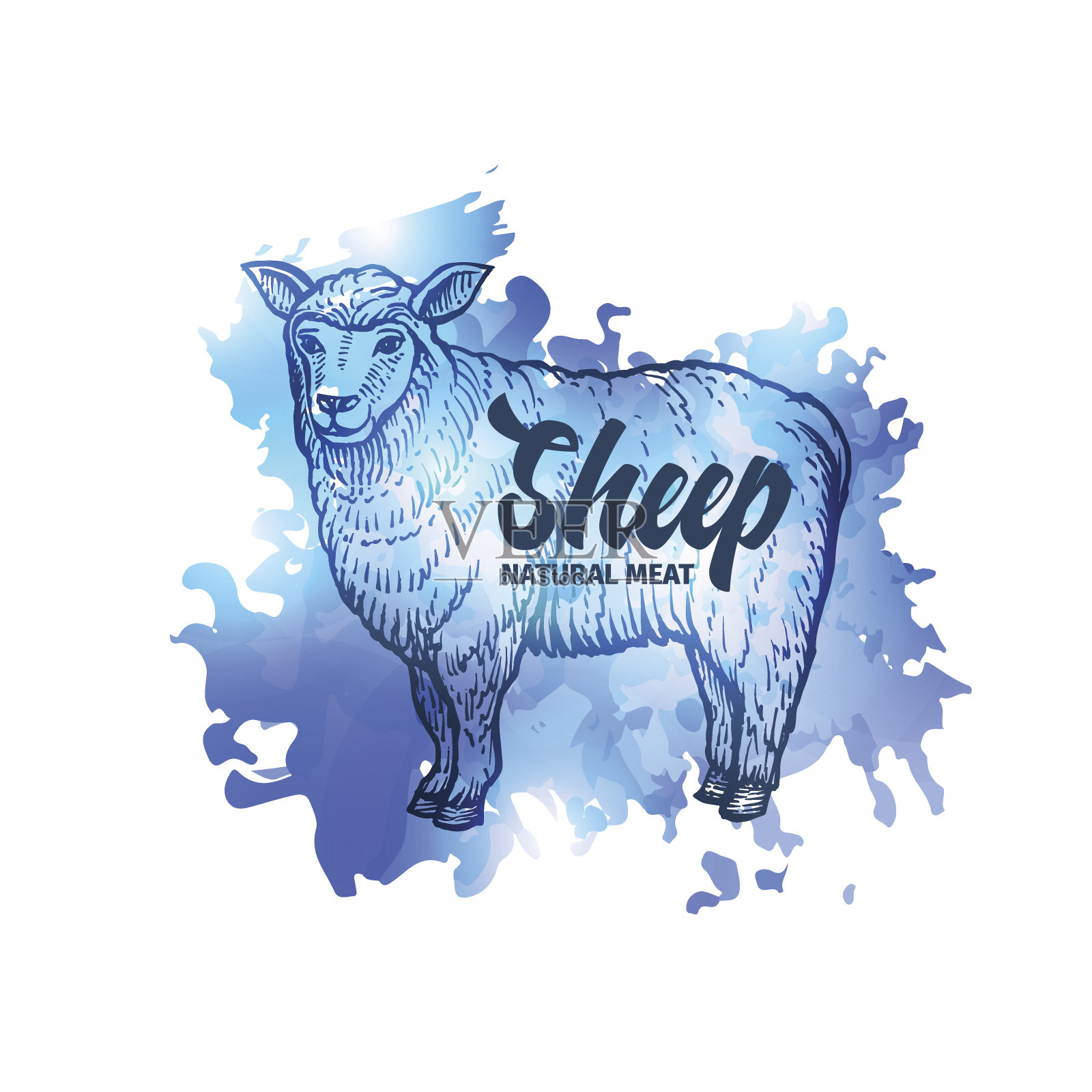 手绘素描羊。肉自然背景。矢量图插画图片素材