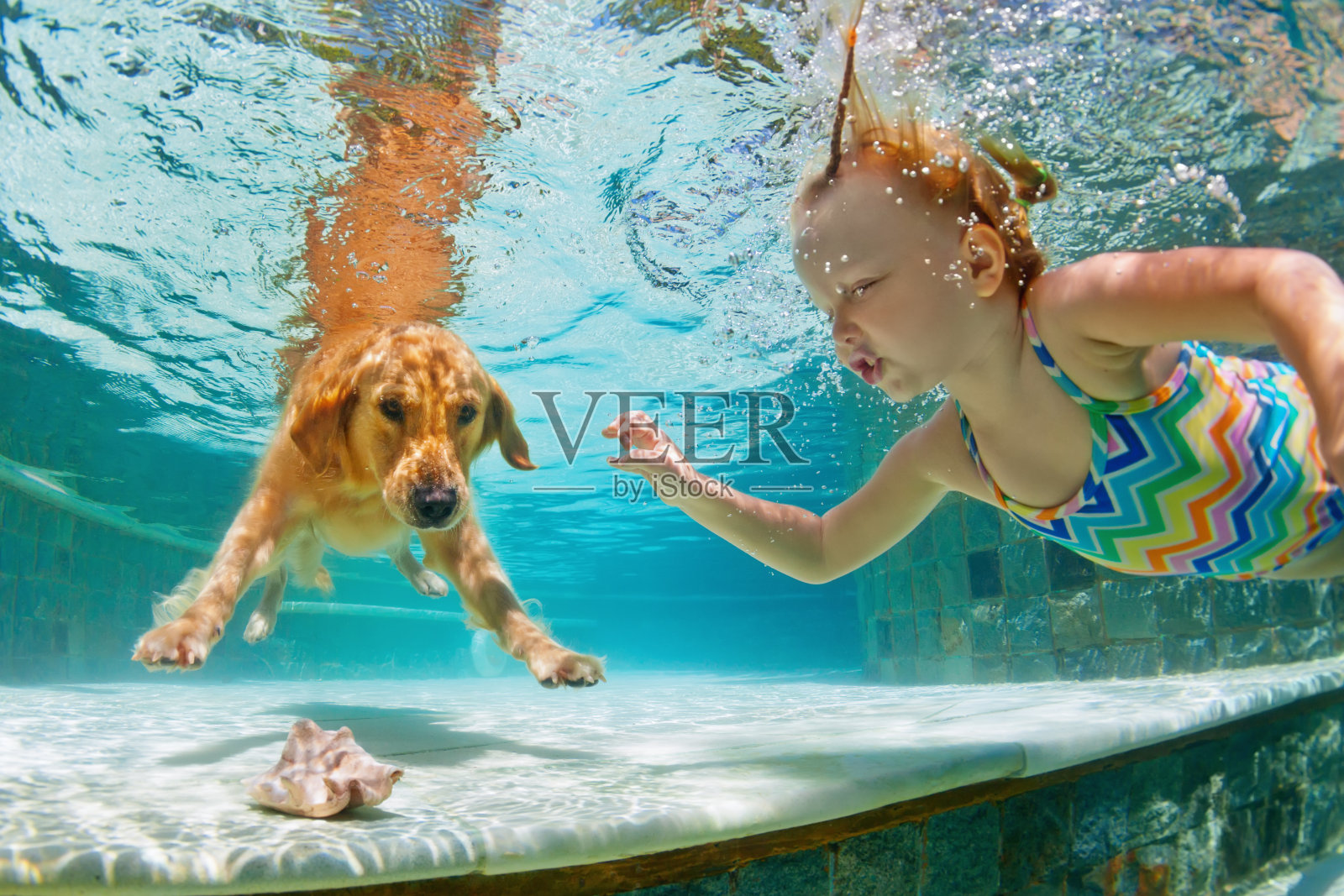 笑脸小孩和狗在游泳池里。有趣的肖像。照片摄影图片