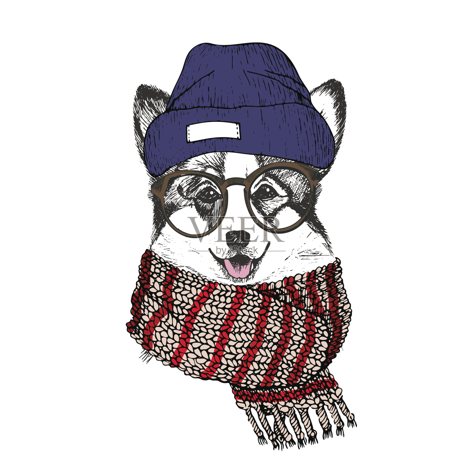 矢量手绘肖像舒适的冬季狗。威尔士柯基，系着针织围巾，戴着时髦眼镜。插画图片素材