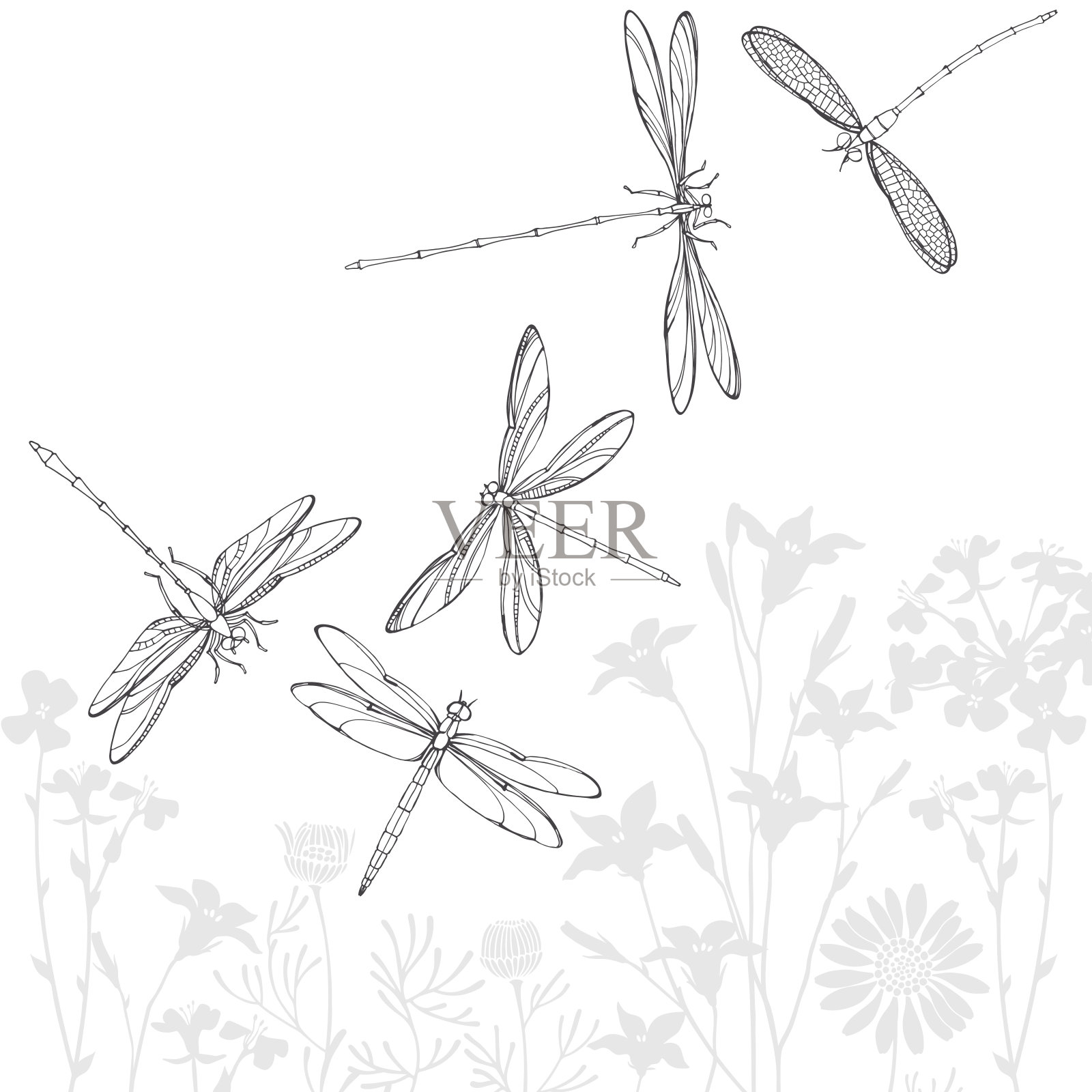 夏季背景与草甸花的剪影和轮廓手绘蜻蜓。单色矢量插图。插画图片素材