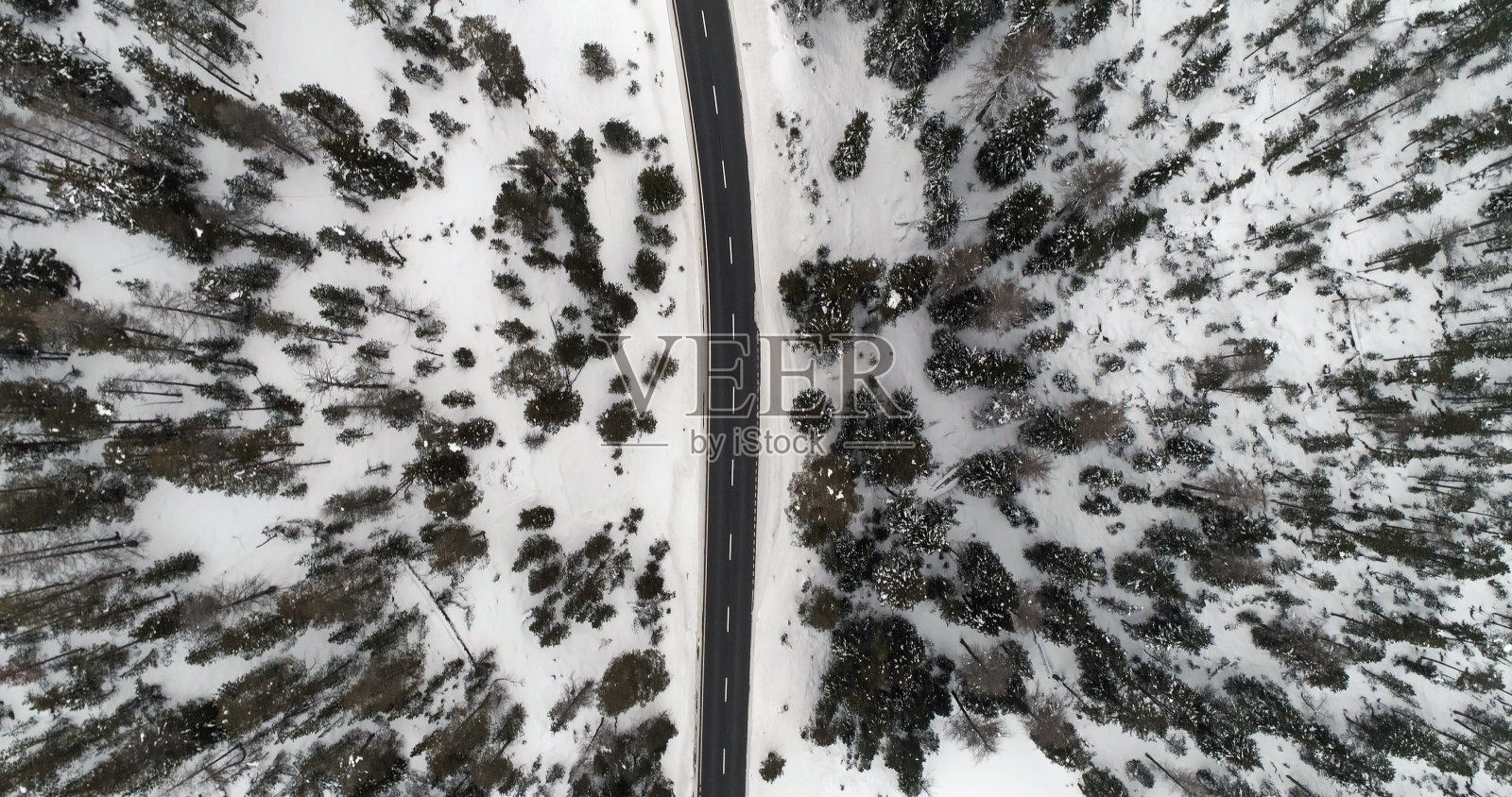 顶视图的冬季森林和沥青道路照片摄影图片