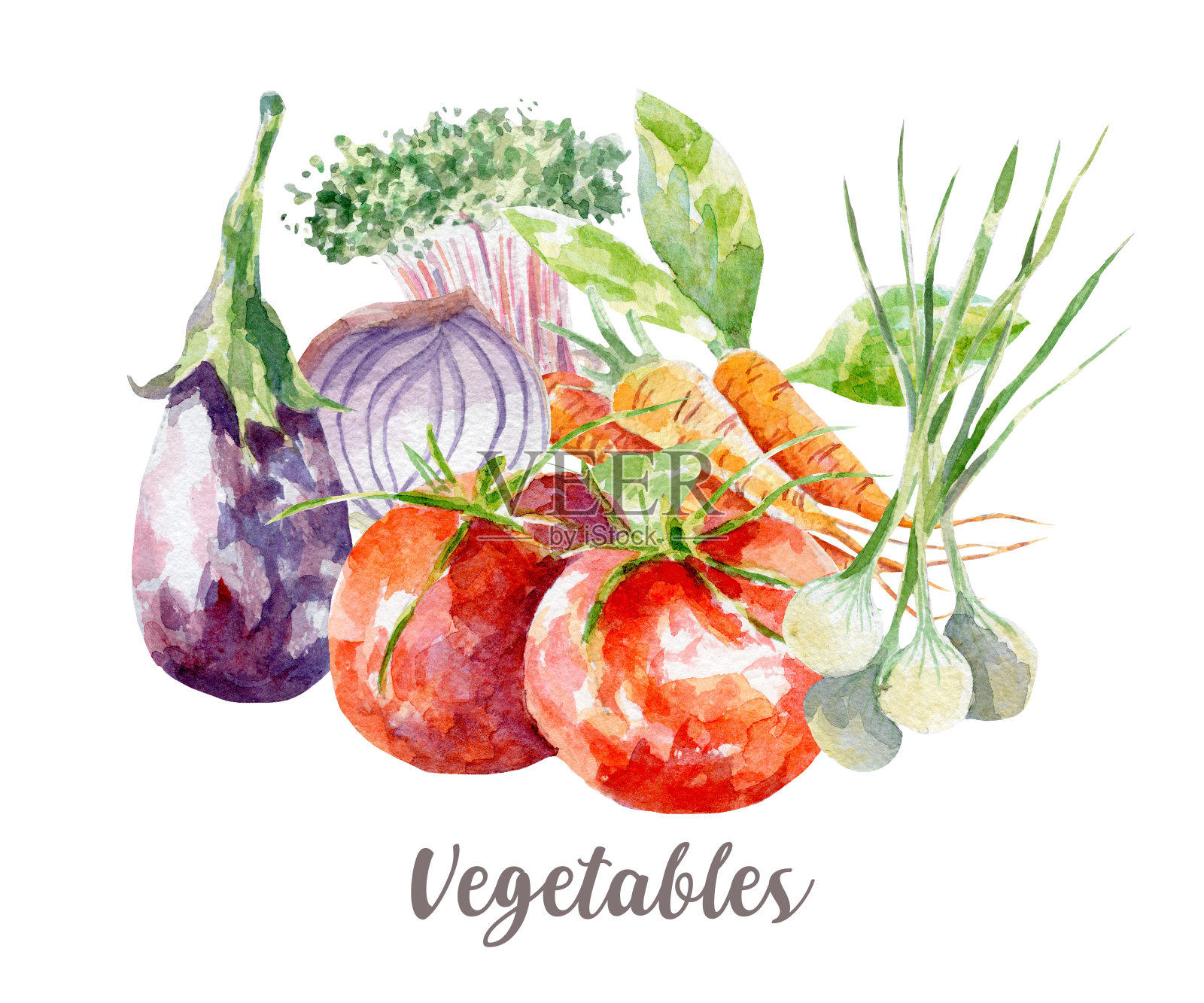 蔬菜插图。手绘水彩在白色的背景。插画图片素材