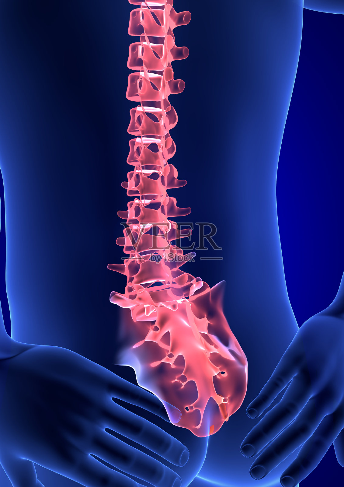 脊椎疼痛。蓝色人体解剖体3D渲染在蓝色背景照片摄影图片