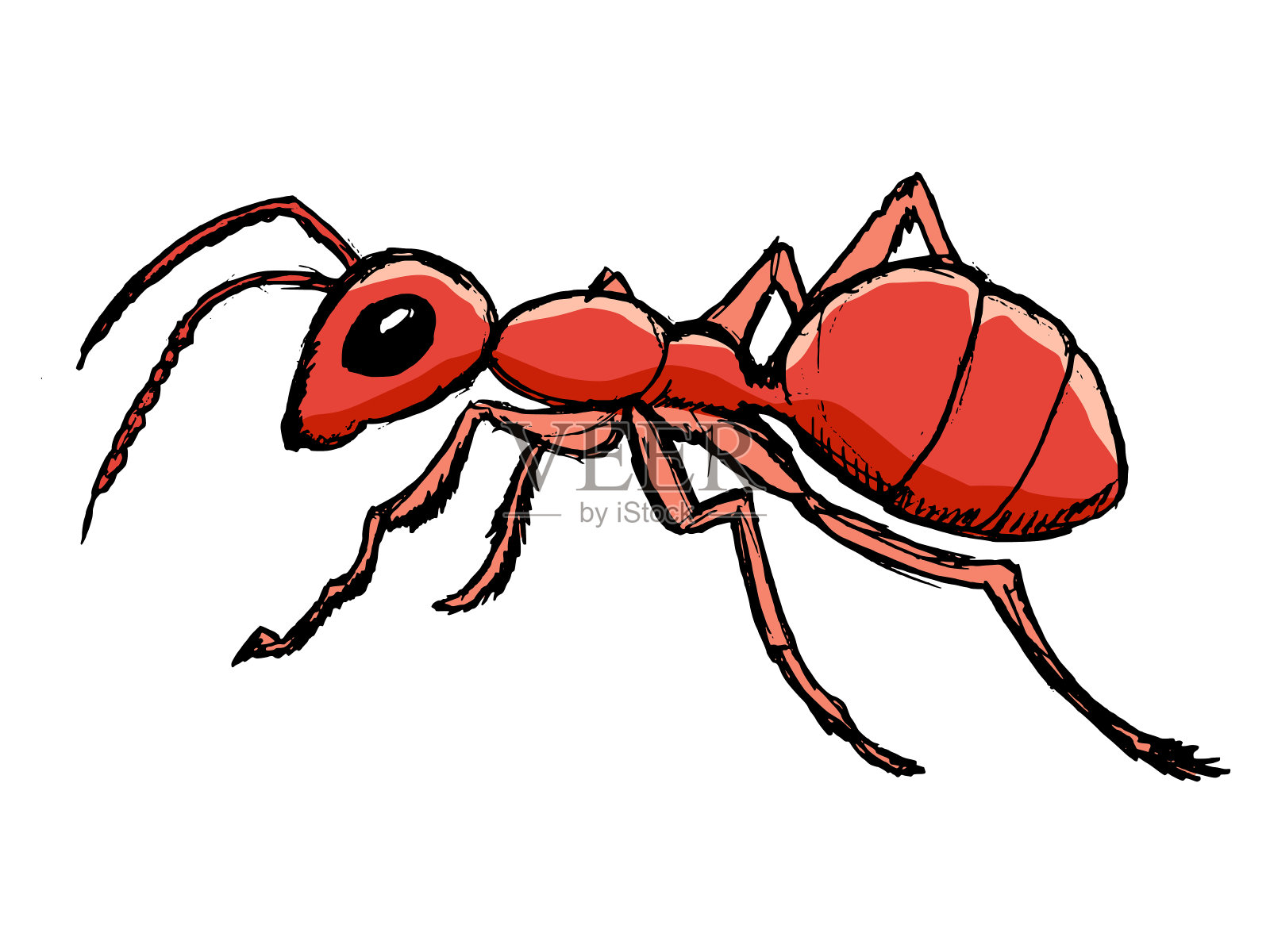 森林中的红蚂蚁设计元素图片