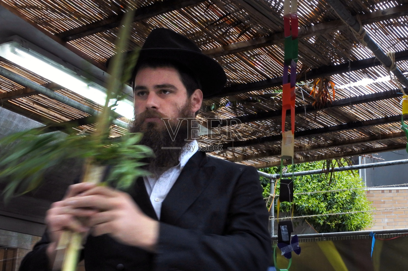 犹太正统派拉比在苏卡中祝福四种生物照片摄影图片