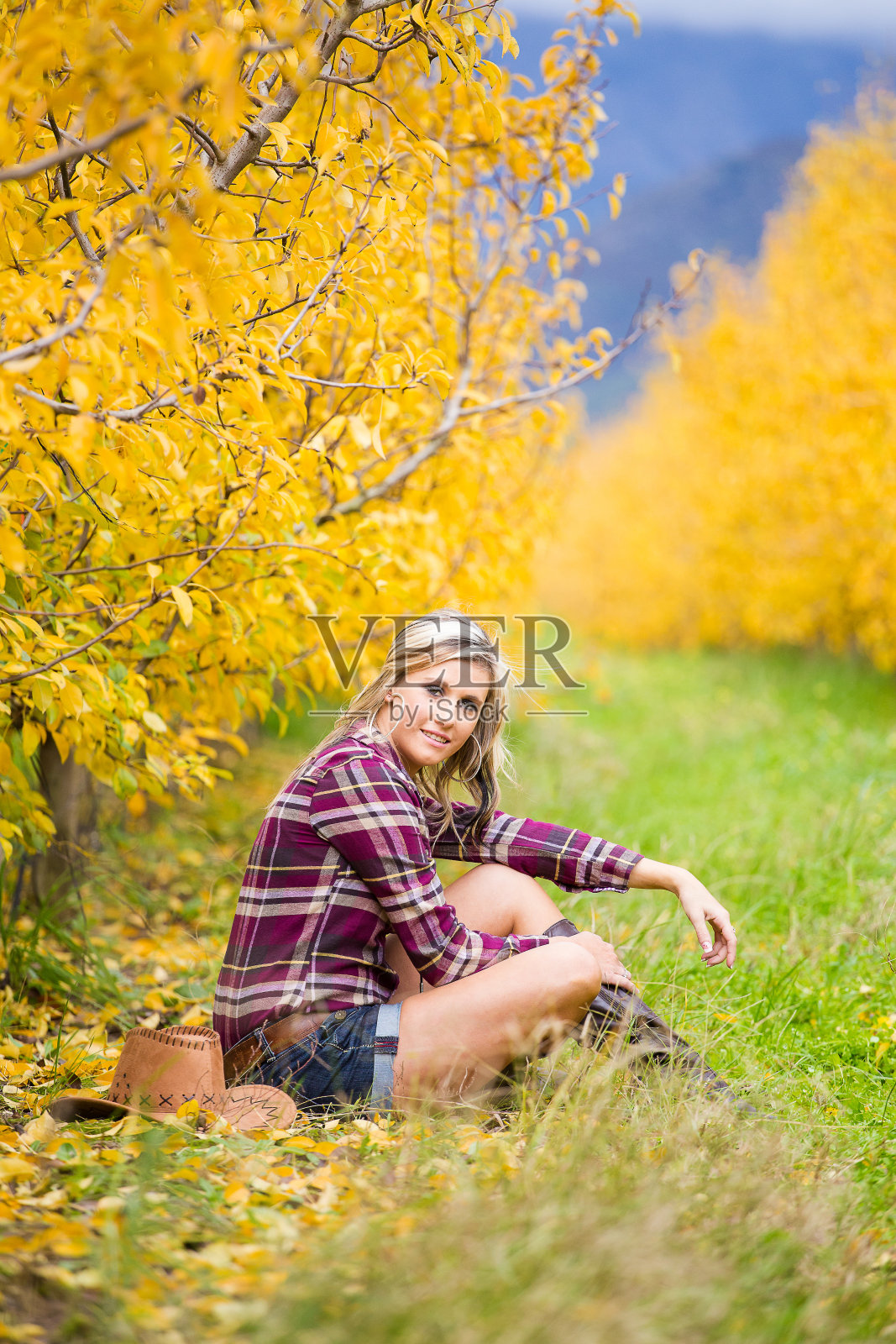性感的金发农场女孩站/走/坐在一个果园里，这是在南非的一个农场的秋天的颜色照片摄影图片
