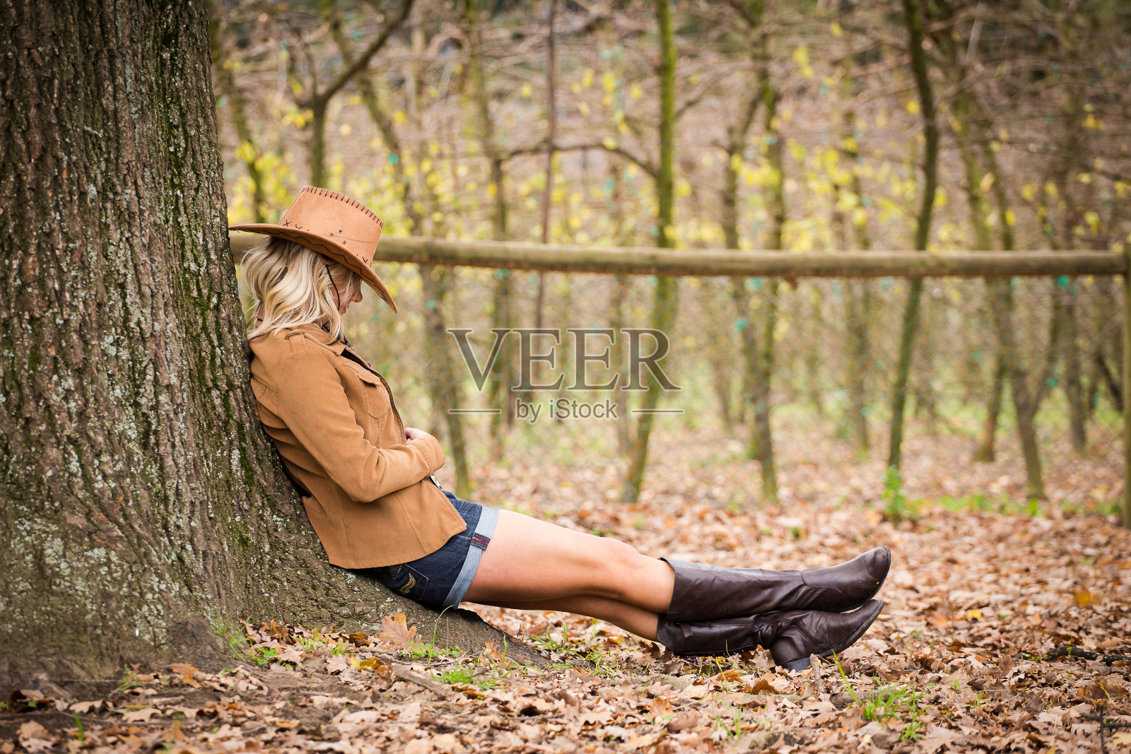 性感的金发农场女孩坐在/站在南非农场的一棵老橡树照片摄影图片
