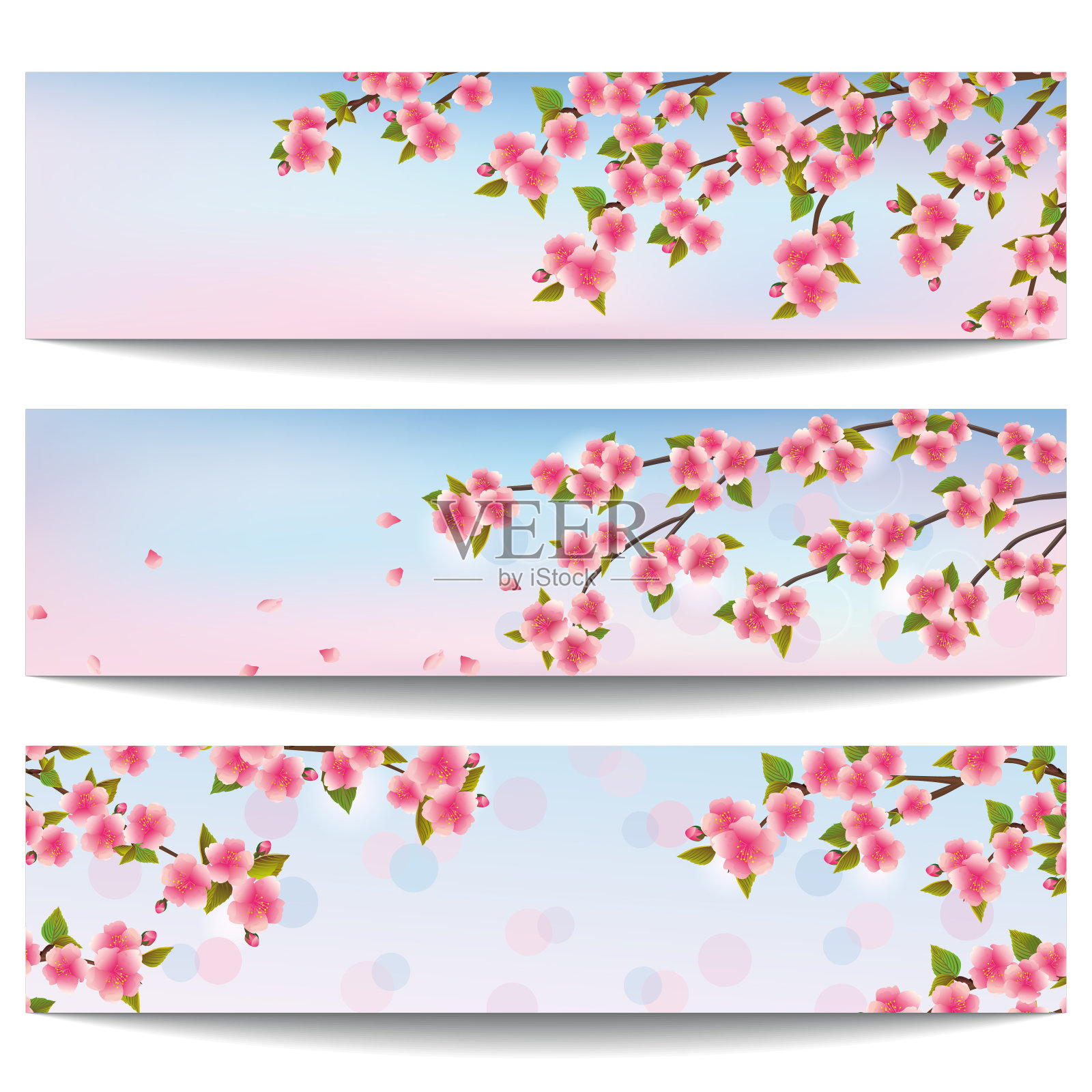 一套美丽的横幅与粉红色樱花树设计模板素材