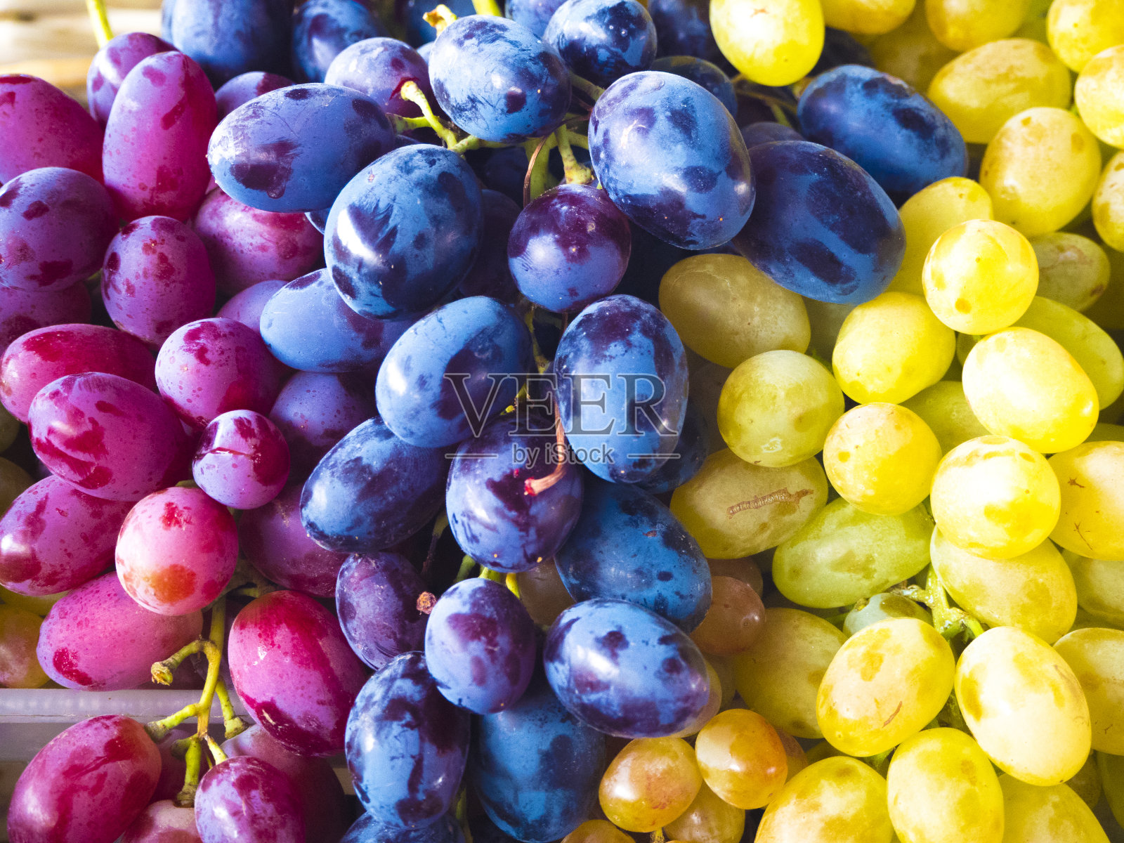 一串不同类型的新鲜葡萄照片摄影图片