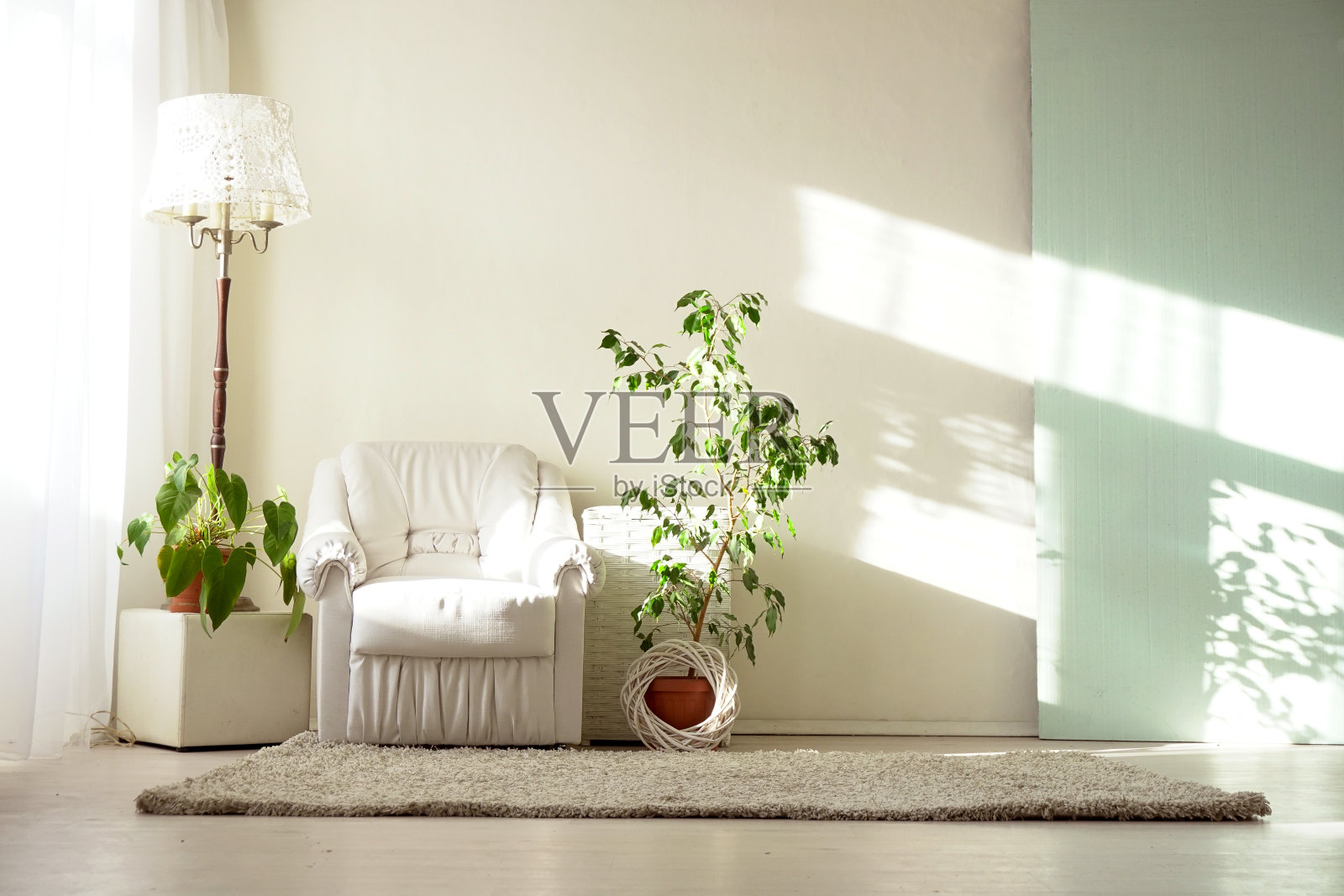 明亮的房间配有白色扶手椅和室内植物照片摄影图片