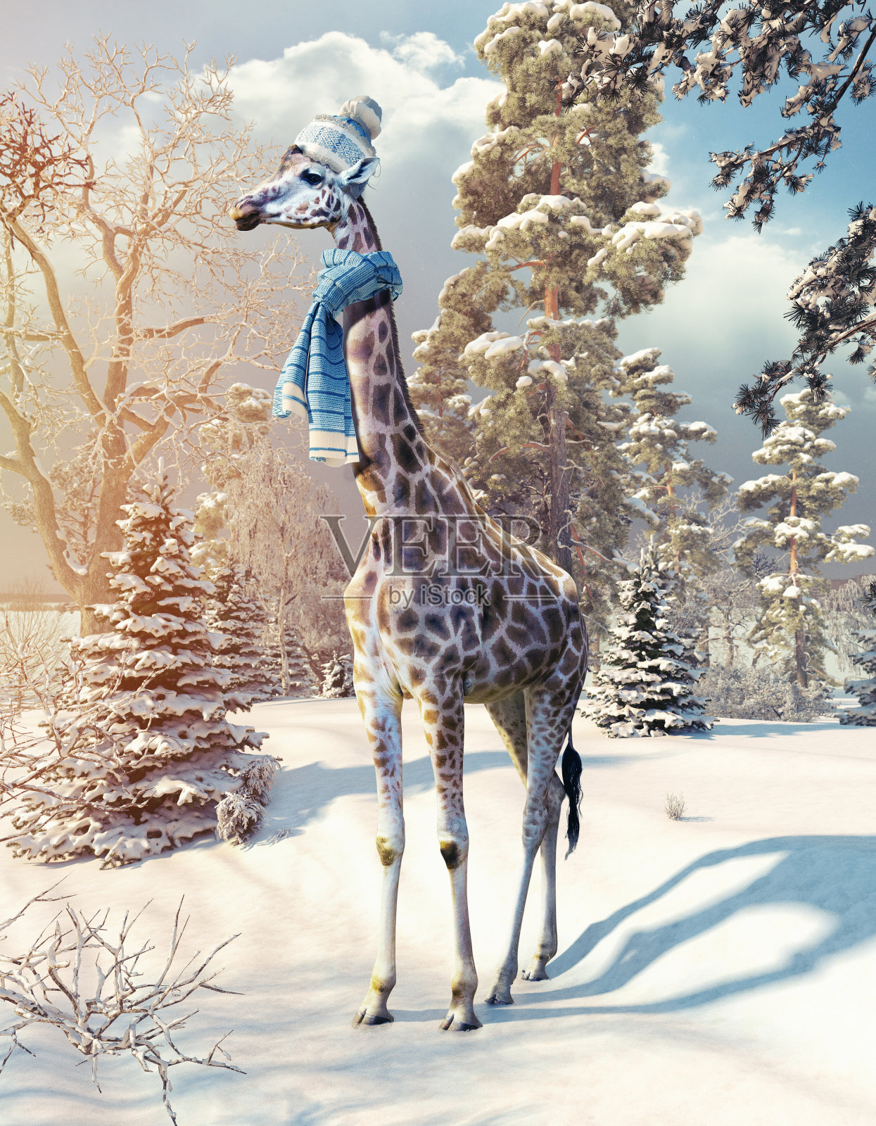 冬天森林里的长颈鹿照片摄影图片