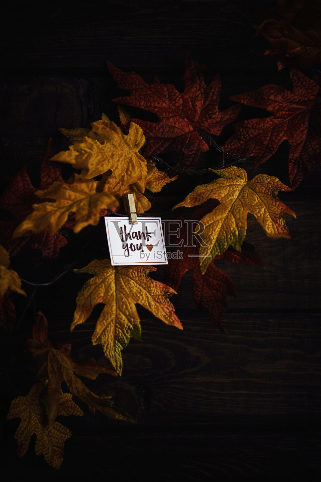 秋天的背景与生气勃勃的枫叶和秋天的消息照片摄影图片