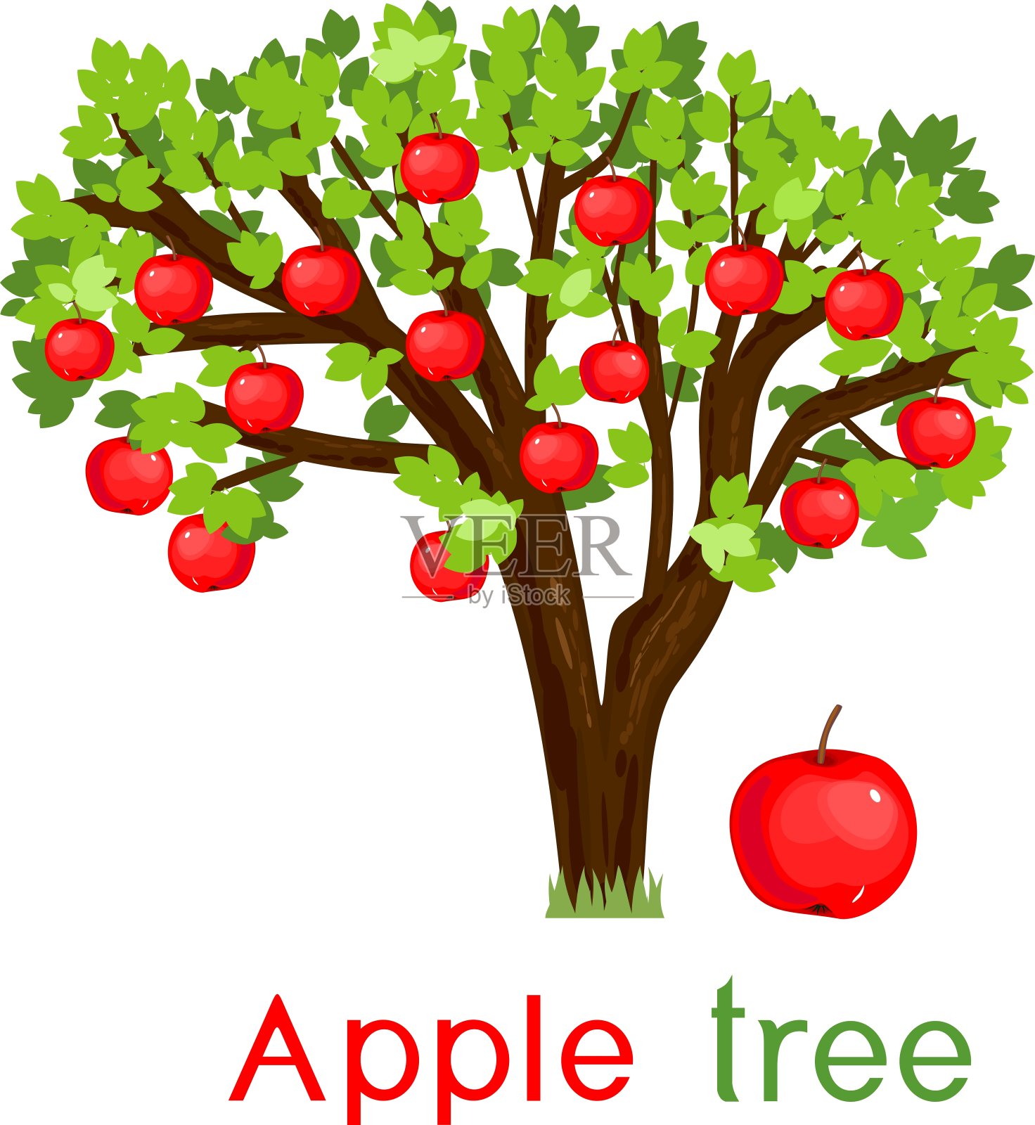 苹果树长着绿色的叶子，成熟的果实红而有标题设计元素图片
