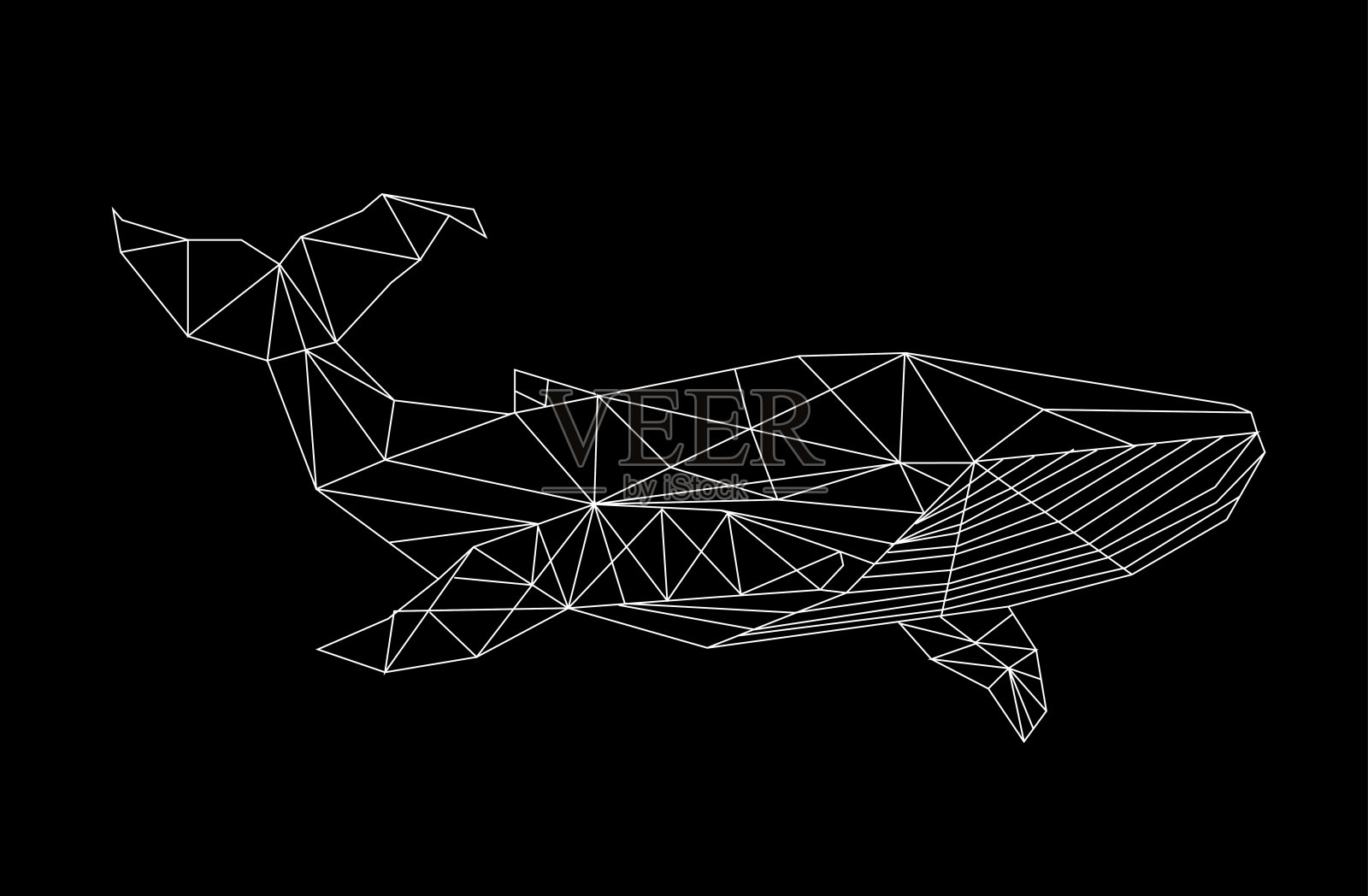 鲸鱼图像的线性抽象插画图片素材