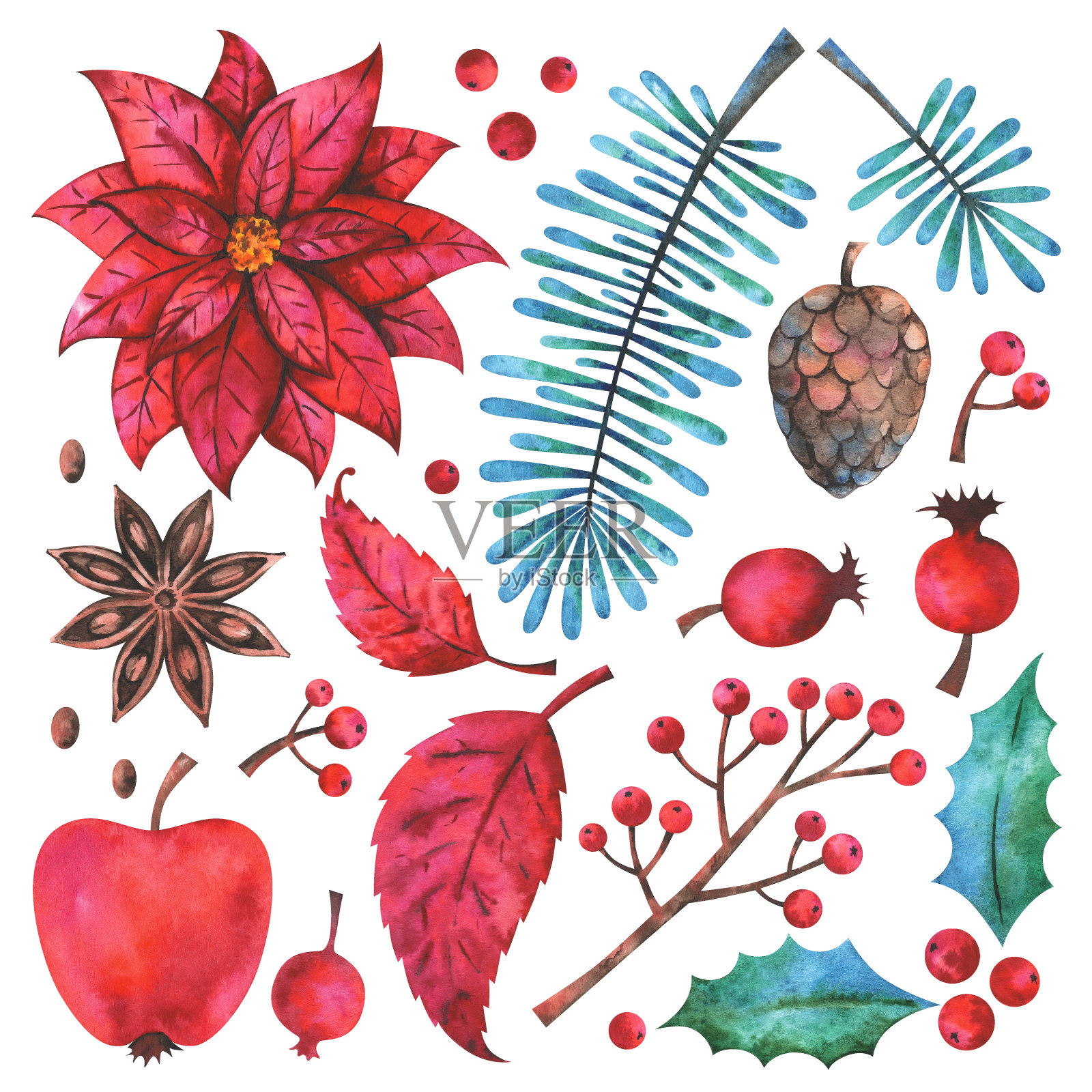 手绘的树枝，水果，花，植物和浆果孤立在白色的背景插画图片素材