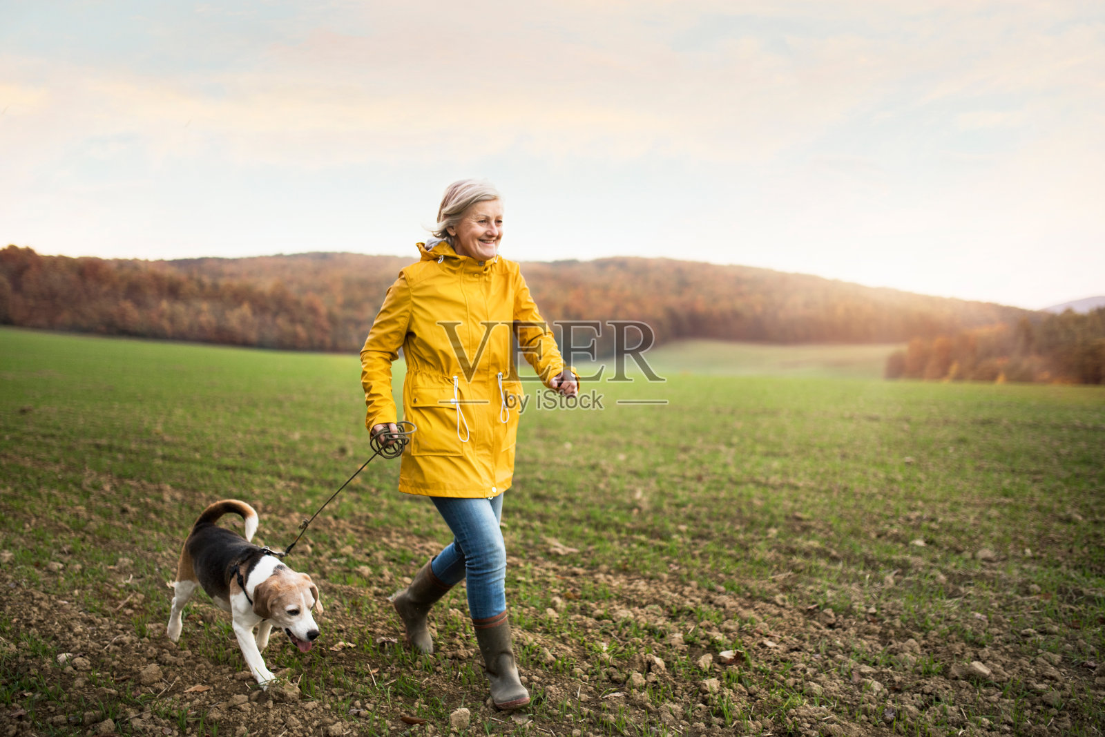 一位老妇人带着狗在秋天的自然中散步。照片摄影图片