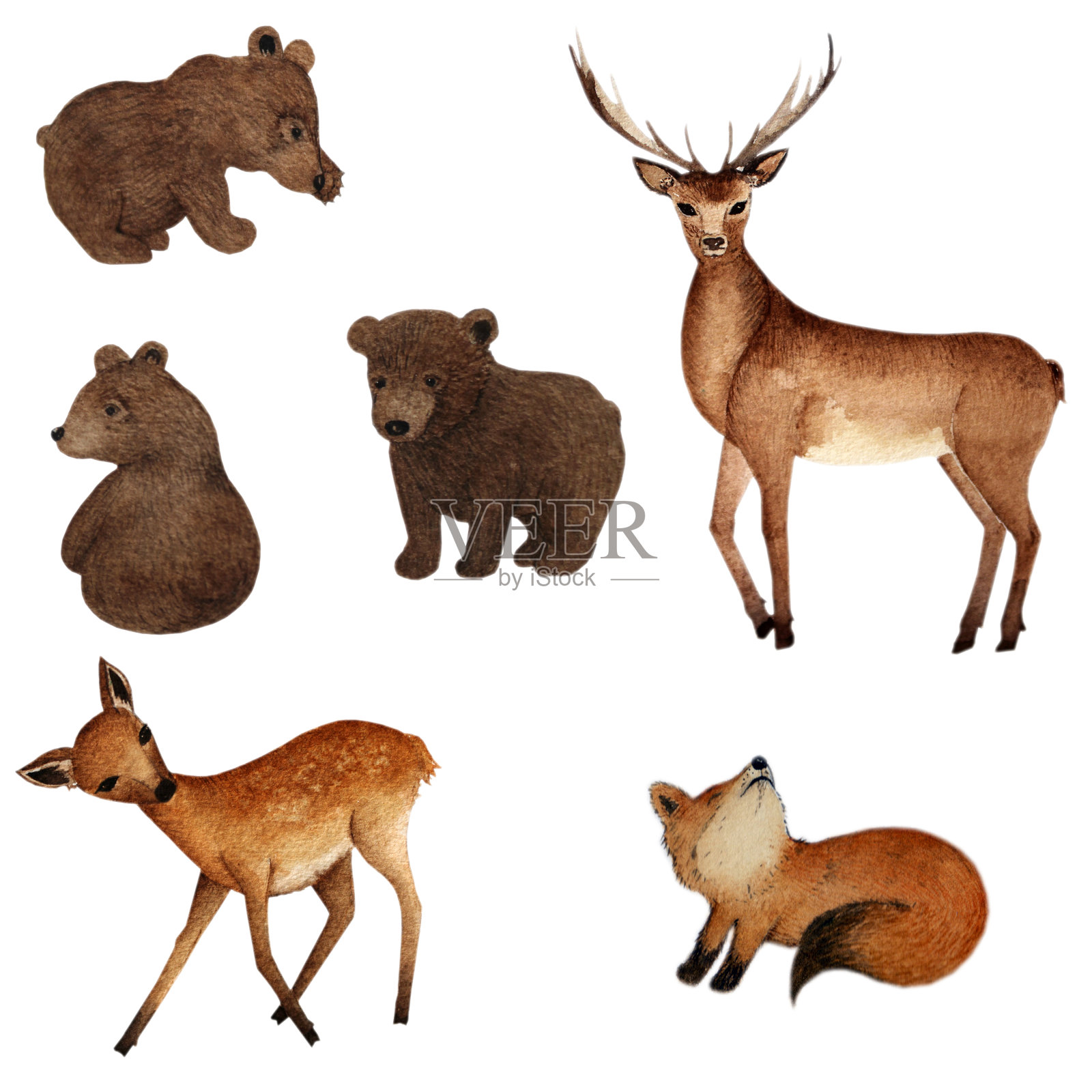 水彩林地动物插画图片素材