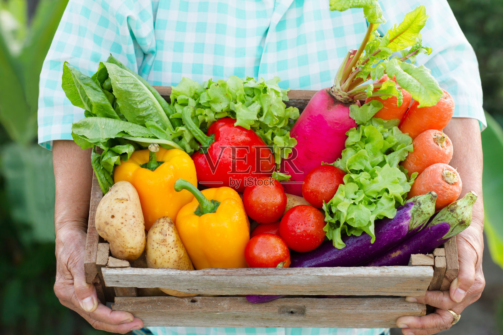 老妇人拿着篮子里的新鲜蔬菜照片摄影图片