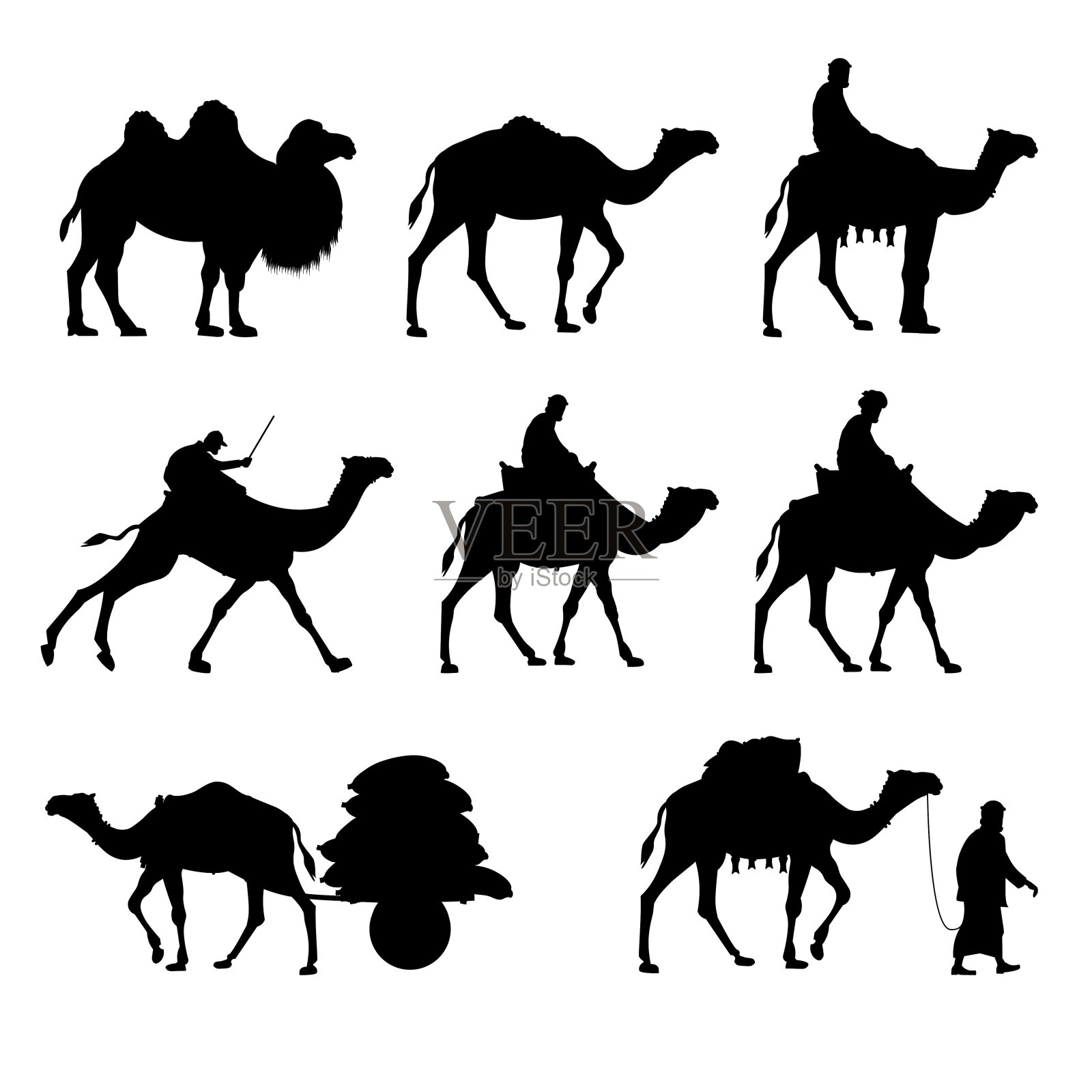 矢量剪影的骆驼。插画图片素材