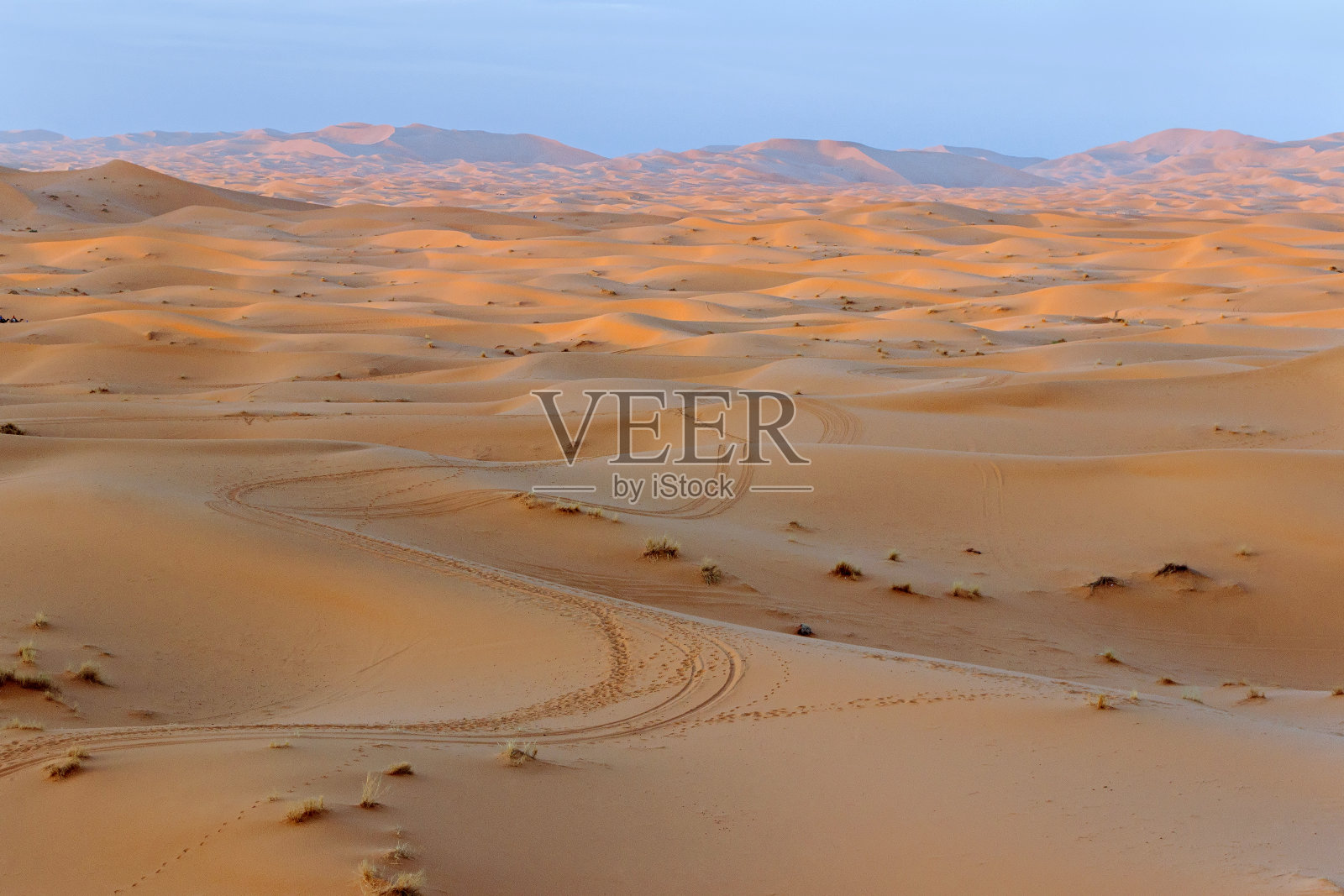 撒哈拉沙漠沙丘上的阳光照片摄影图片