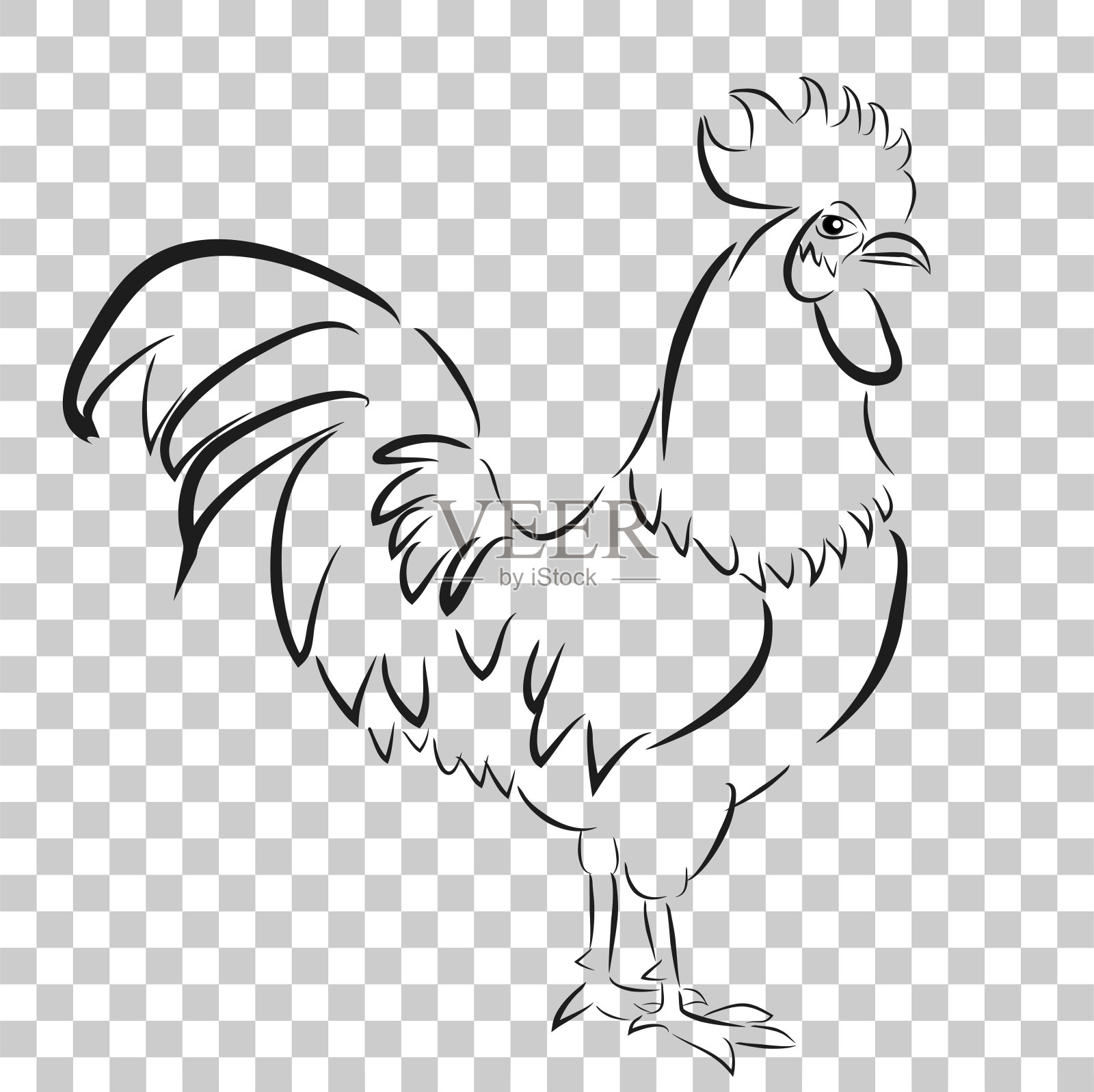 鸡的粗略轮廓，在透明效果的背景插画图片素材