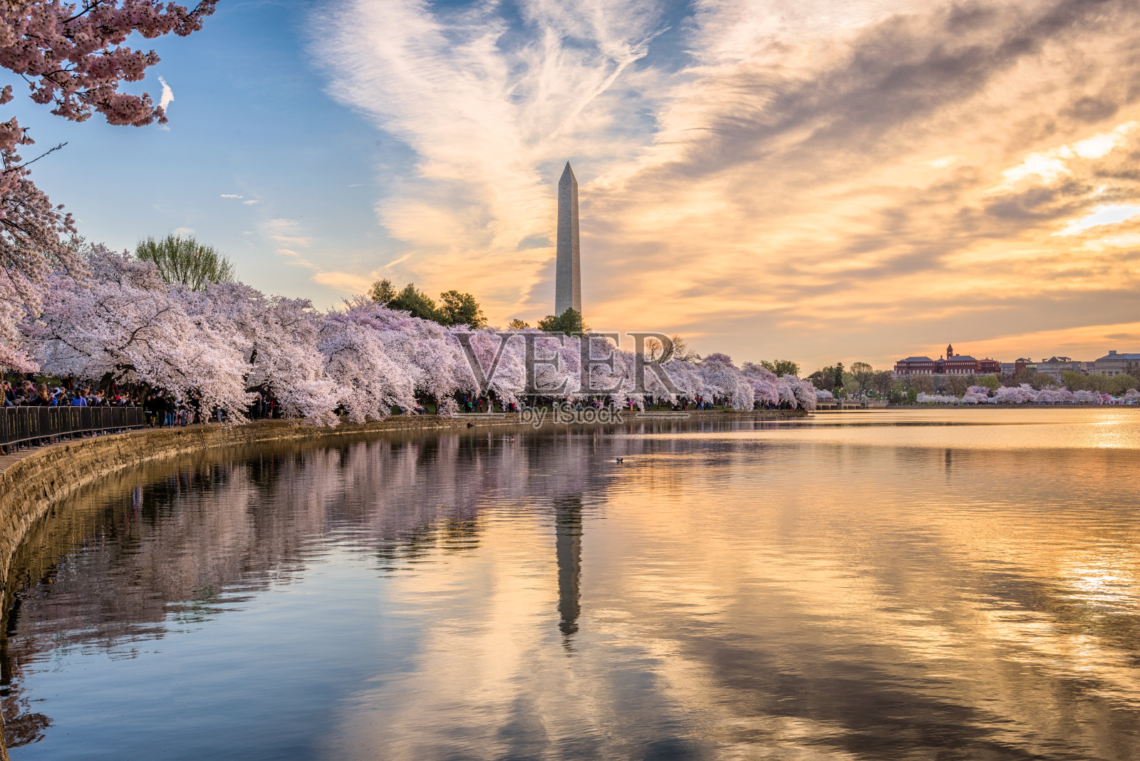华盛顿特区，美国的春天照片摄影图片