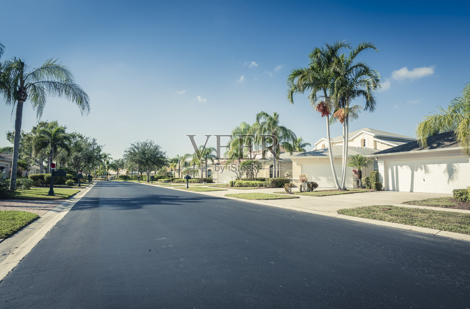 南佛罗里达，带门的社区房屋，棕榈树照片摄影图片
