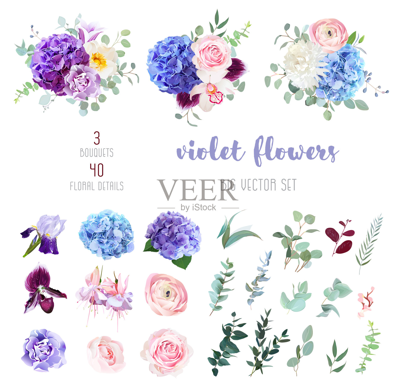 紫罗兰，紫色和蓝色的花和绿叶大向量集插画图片素材
