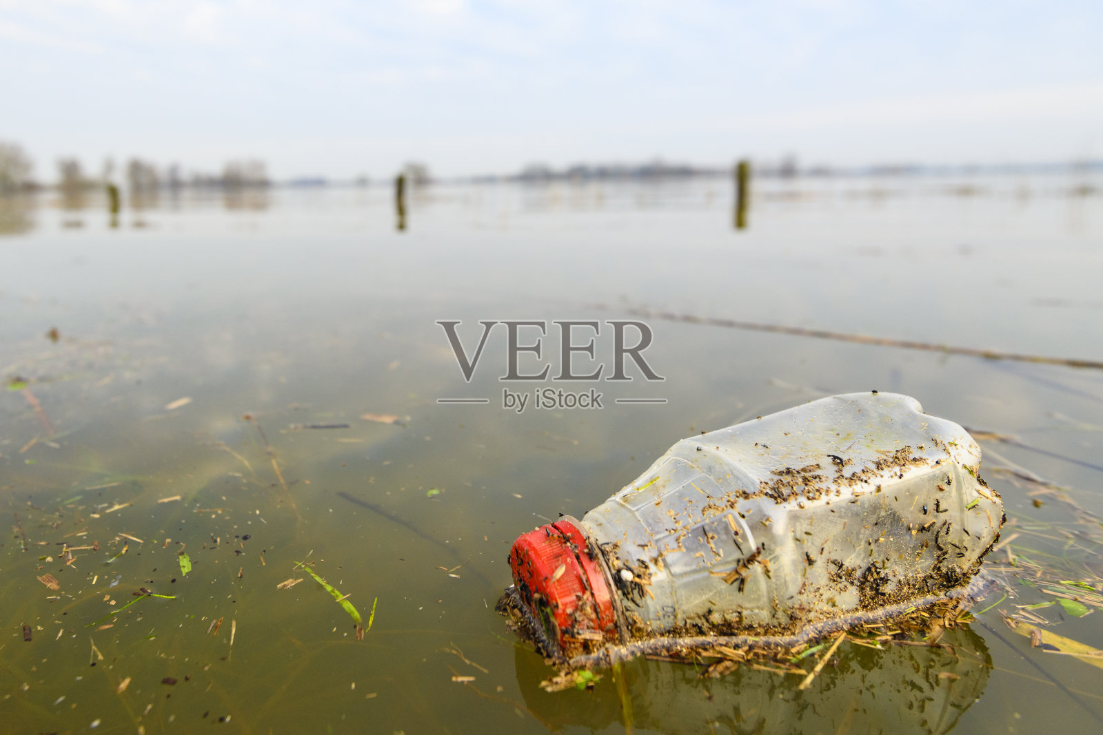 IJssel河溢流区洪水过后的塑料垃圾照片摄影图片