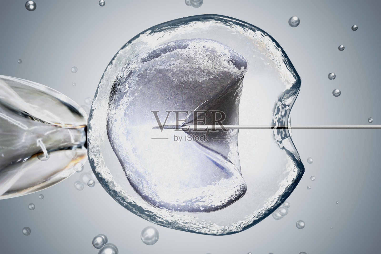 体外受精(IVF)的实验室显微镜研究。3 d渲染插图。照片摄影图片