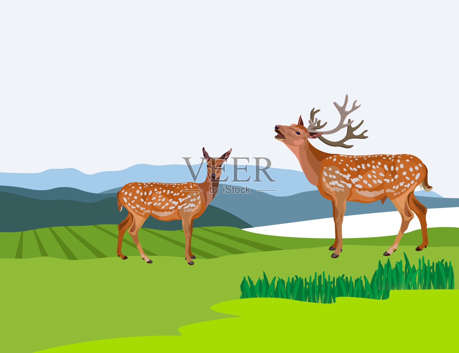 秋天的风景有鹿插画图片素材