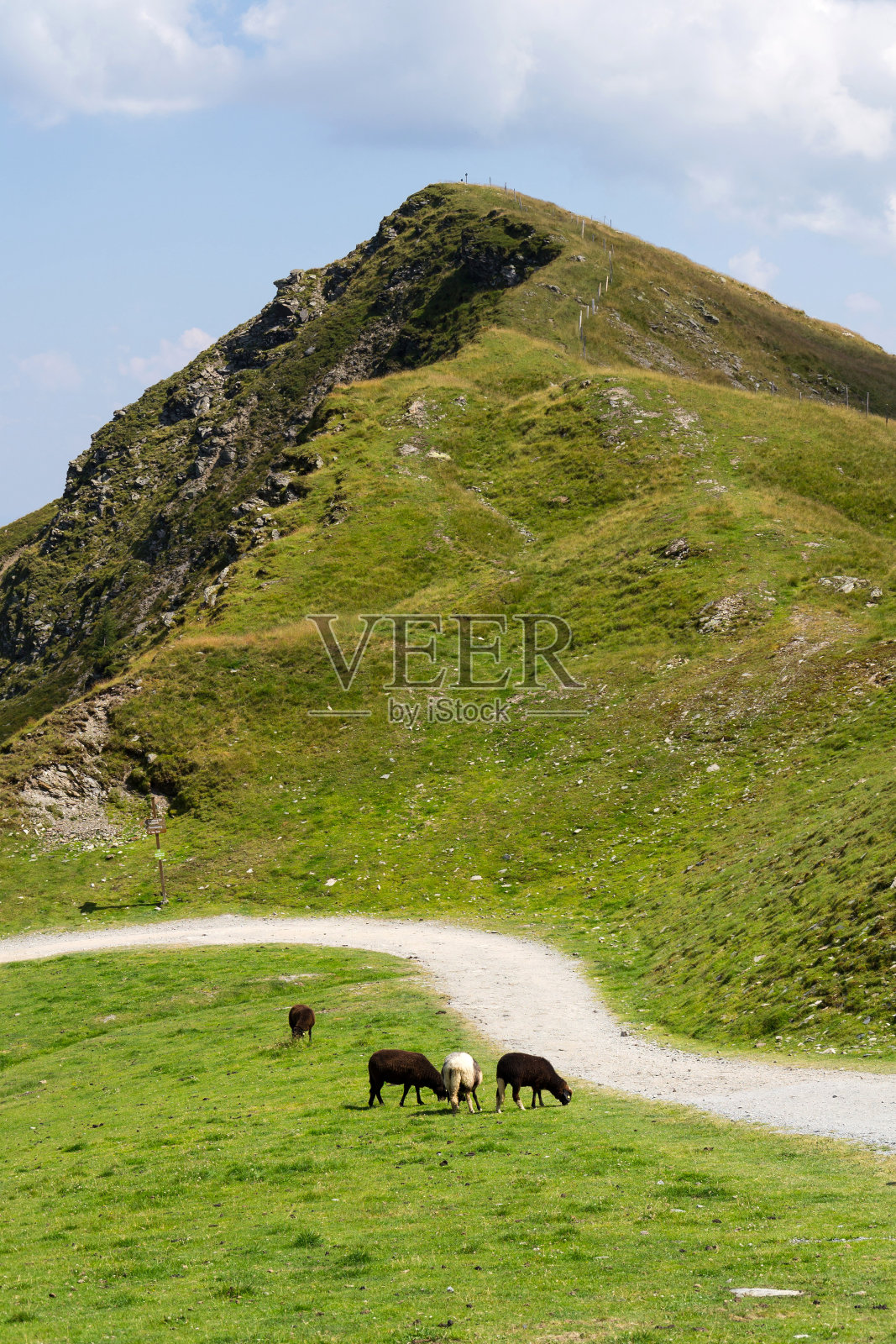 羊在牧歌般的夏季山地景观，奥地利照片摄影图片