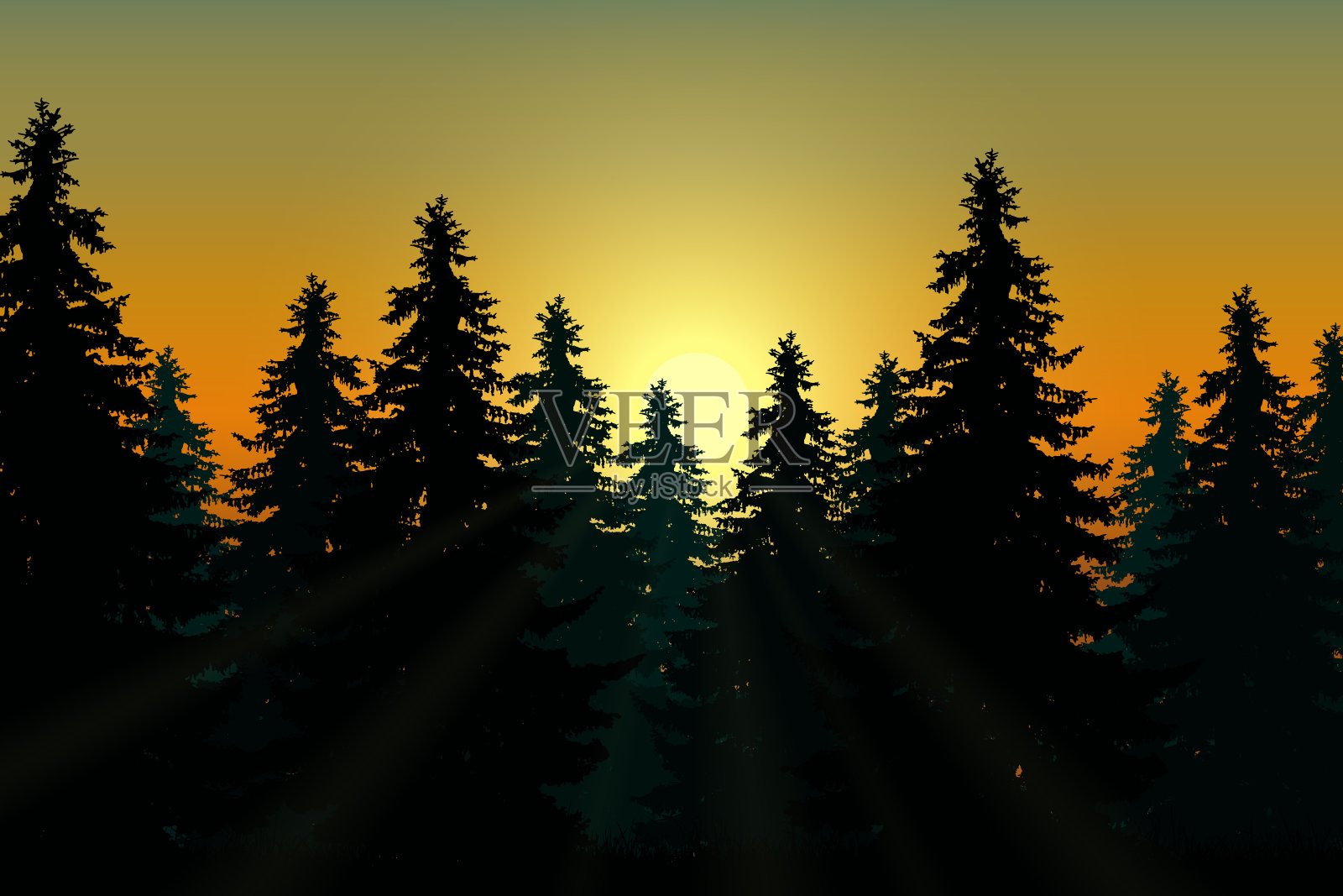 景观与针叶林下的早晨天空在黎明和阳光向量插画图片素材