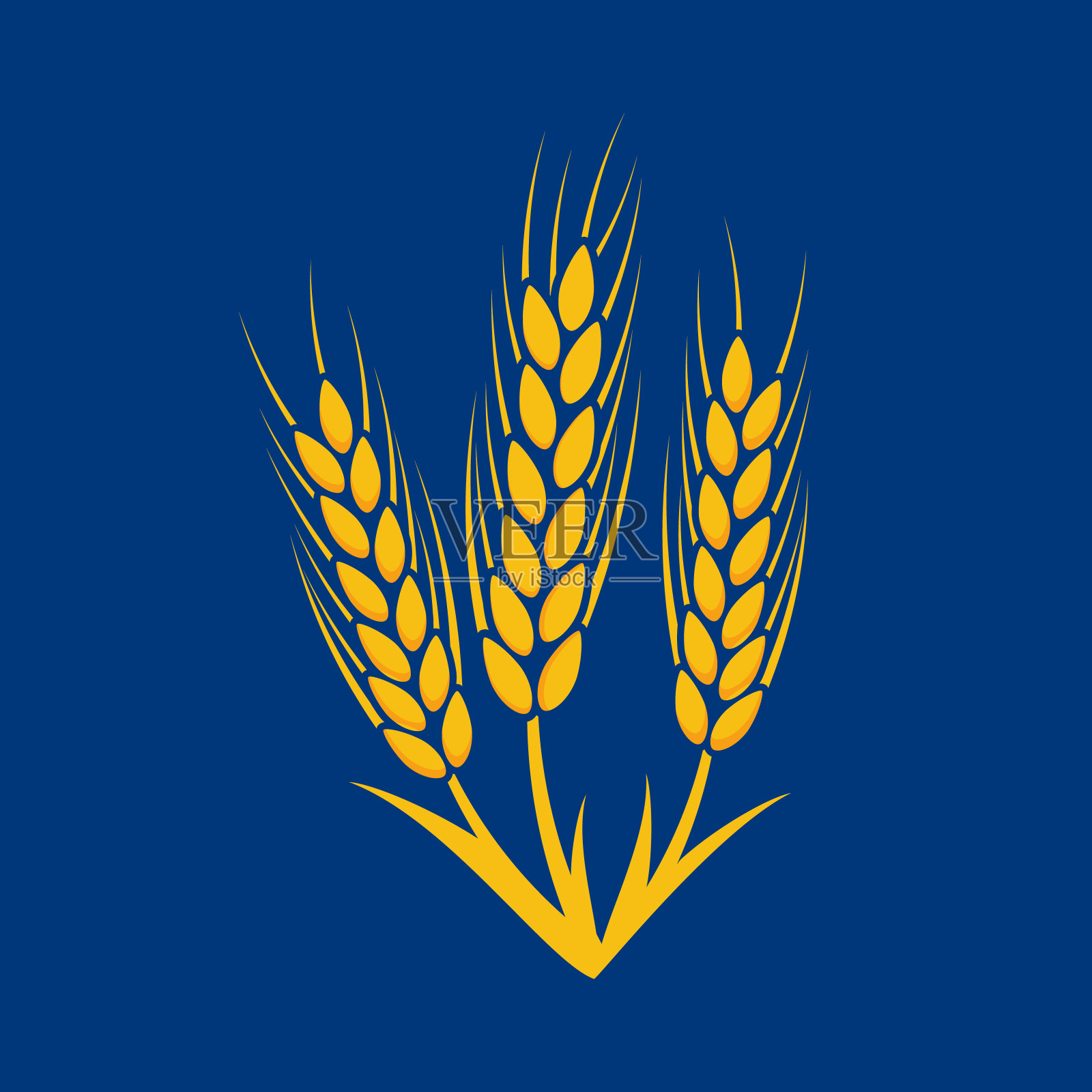 农业小麦符号模板。矢量图插画图片素材
