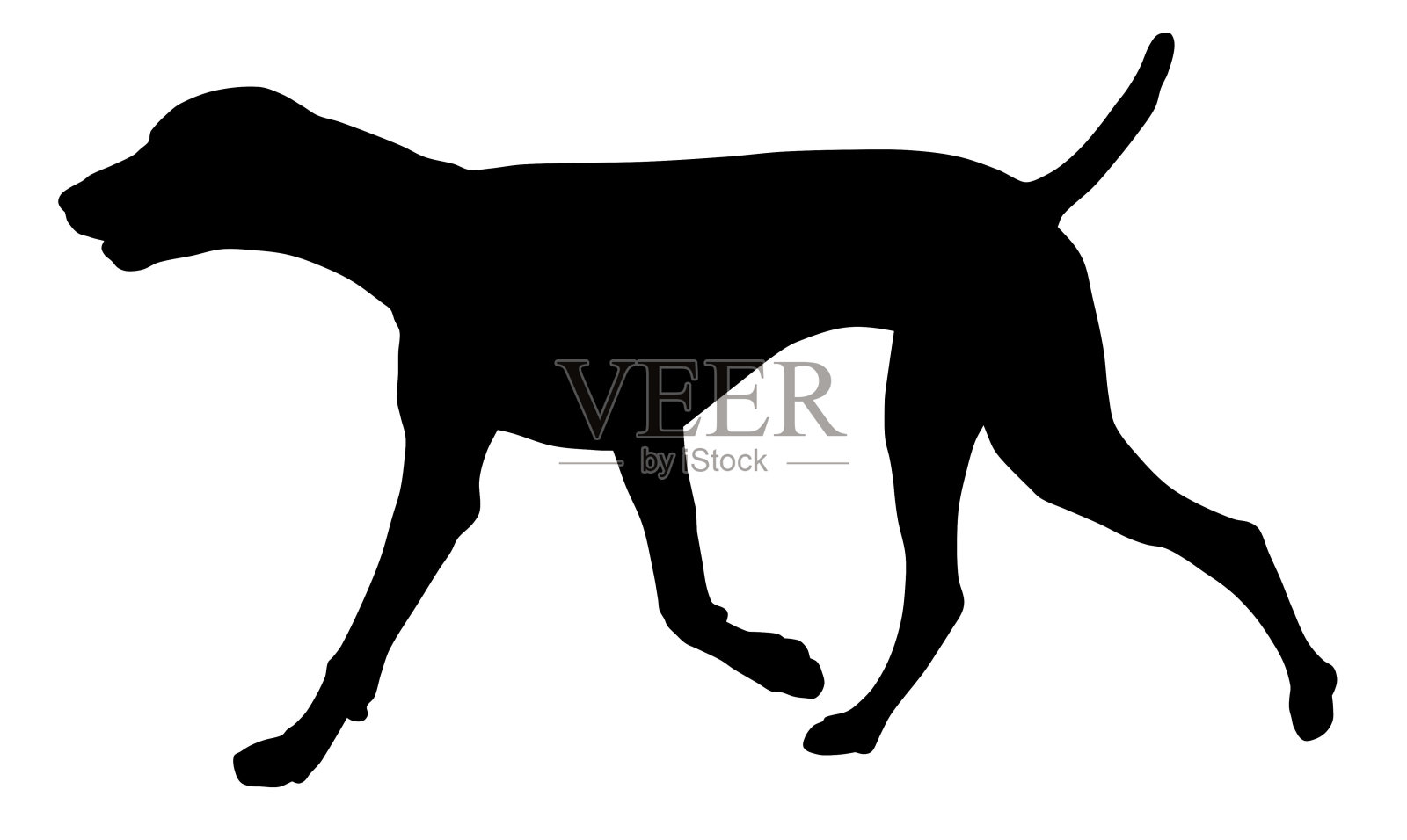 有趣的拉布拉多猎犬纯种狗的卡通插图模板免费下载_eps格式_504像素_编号41913468-千图网