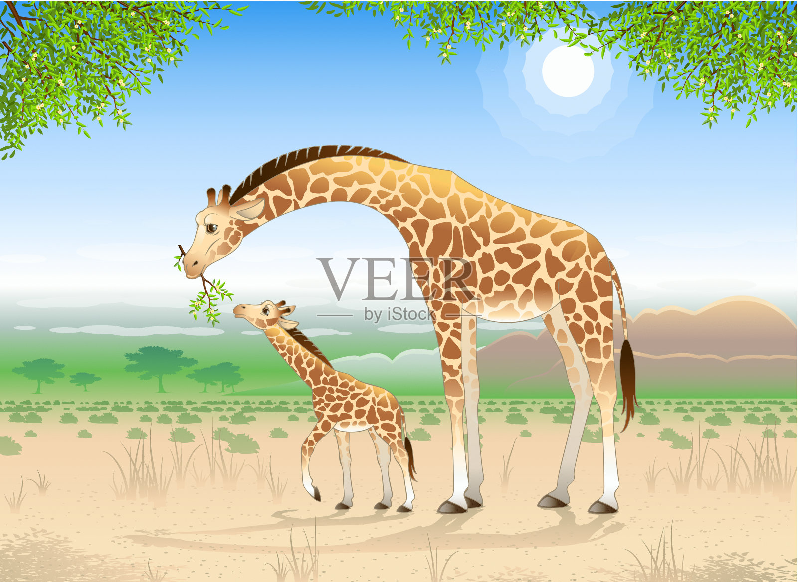 两个长颈鹿插画图片素材