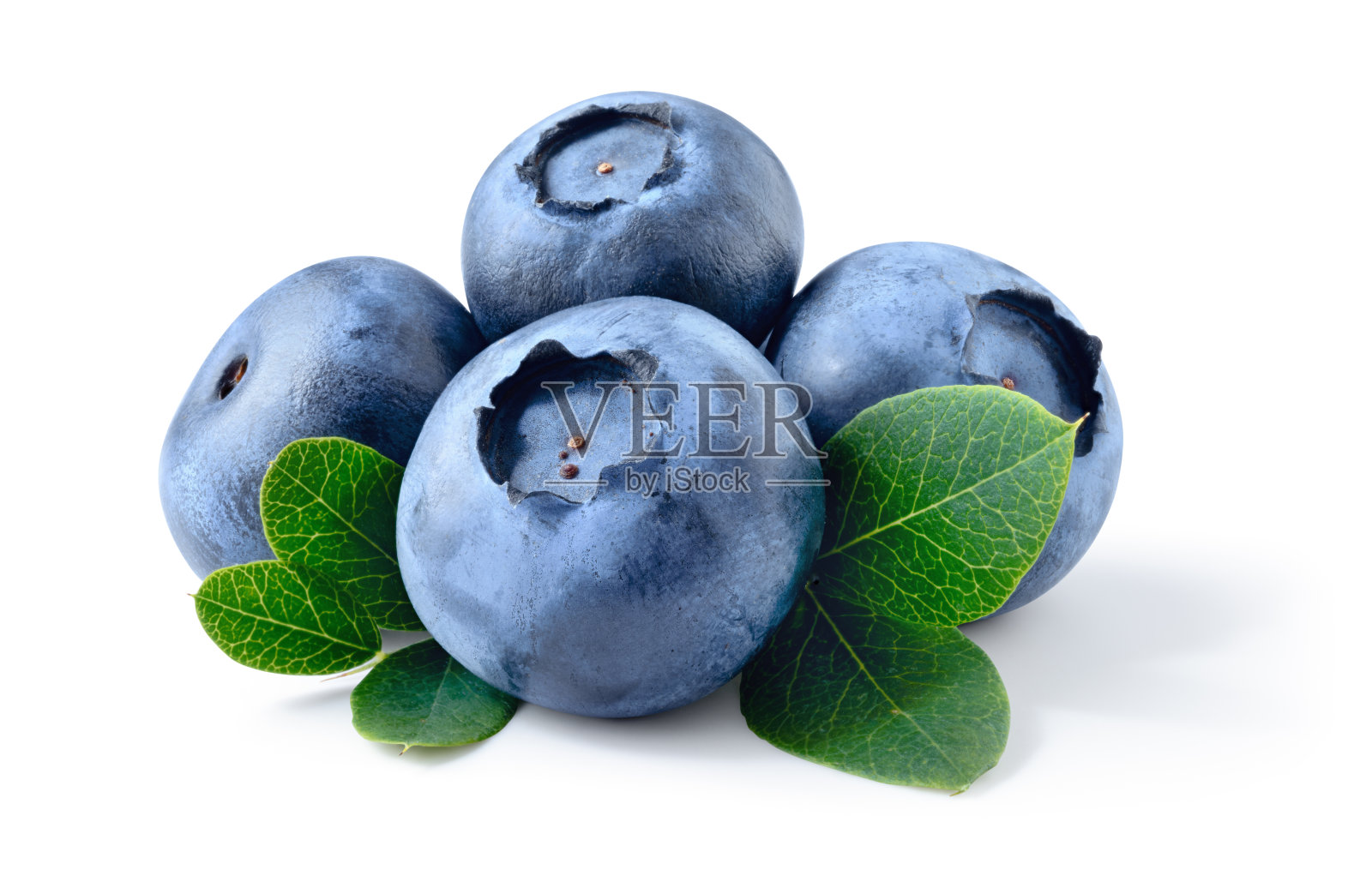 蓝莓。新鲜的生浆果，叶子孤立在白色背景上。剪切路径。照片摄影图片