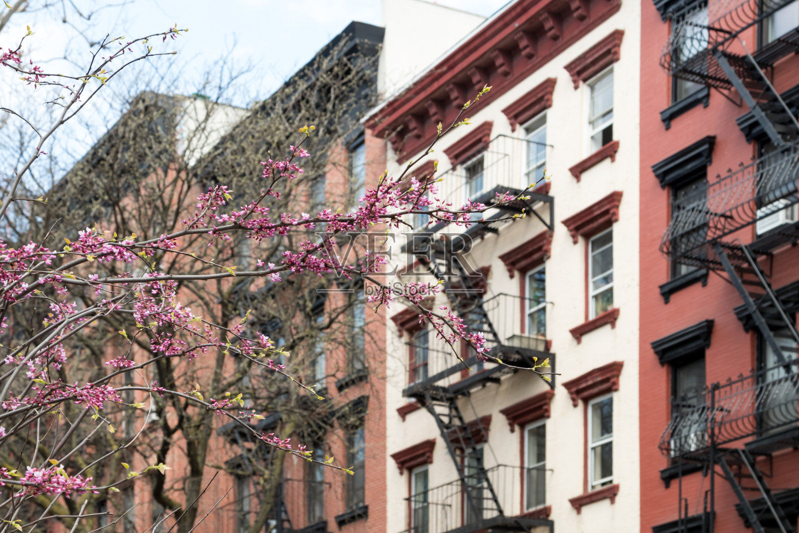 纽约春天的建筑照片摄影图片
