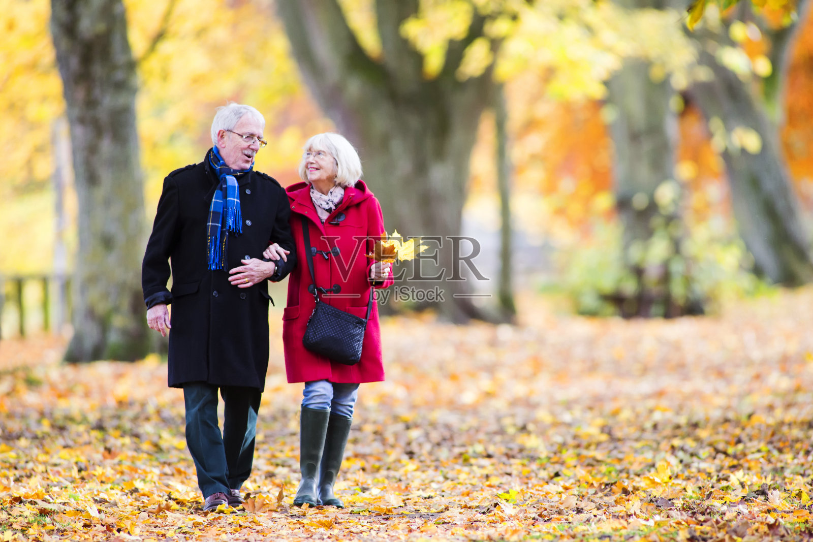 老年夫妇享受秋天散步照片摄影图片