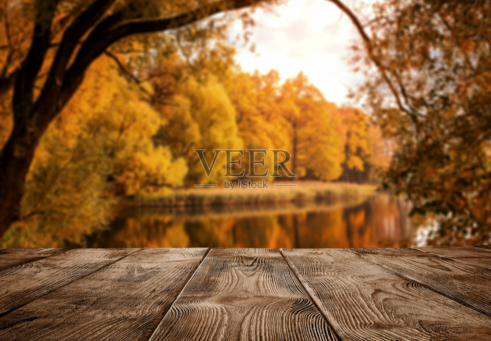 空木桌上的秋景照片摄影图片